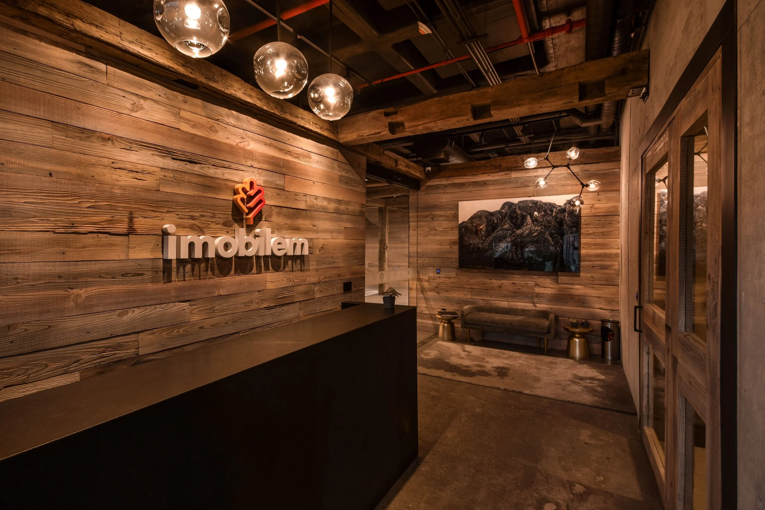 Imobilem1-min.jpg