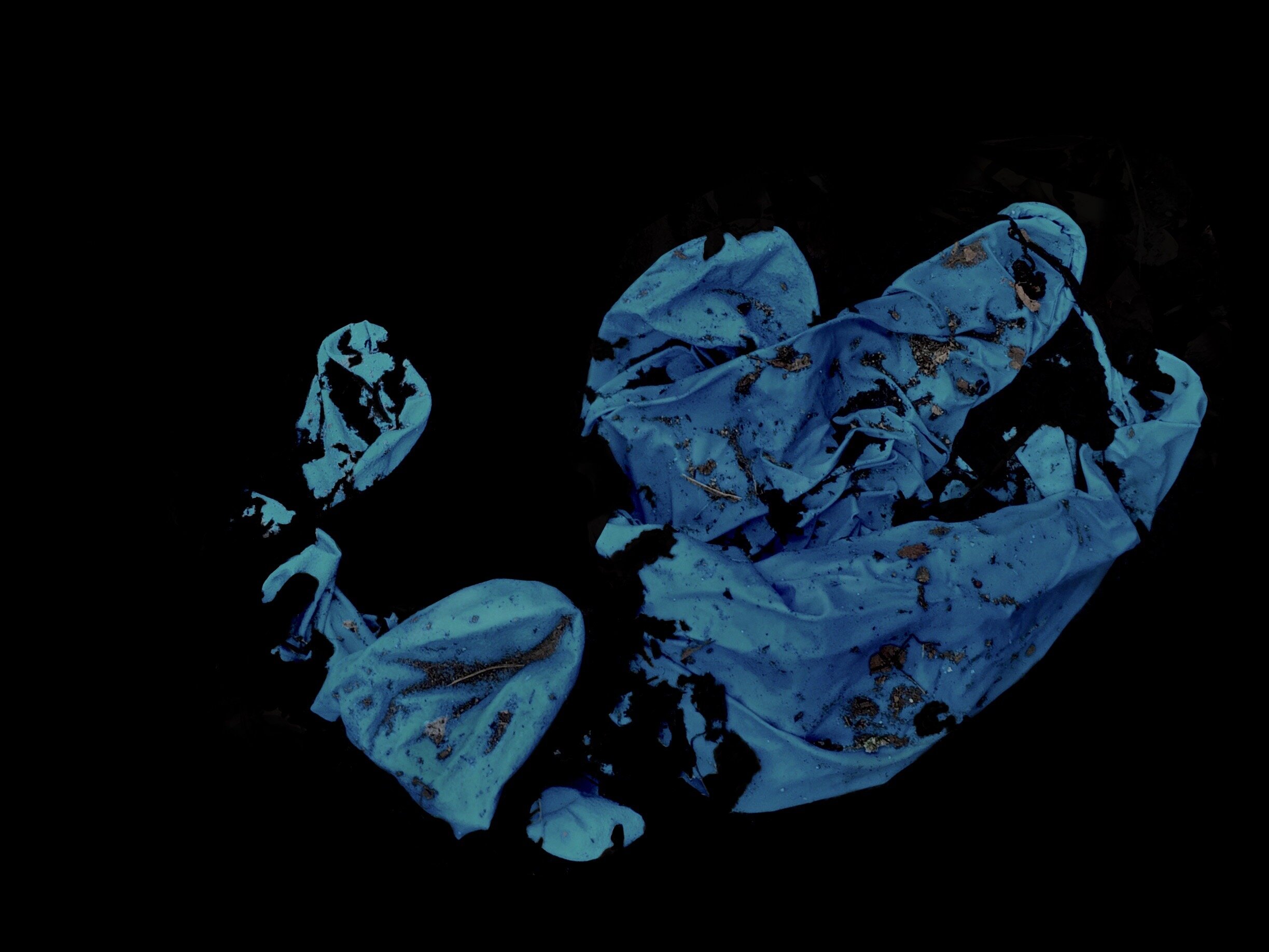 D81AF36F-AA68-412F-BC9A-F9D00897CDB5.jpeg