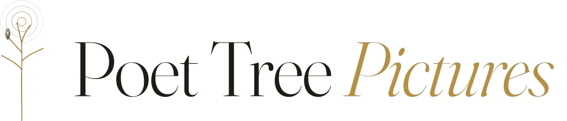 Poet Tree Pictures