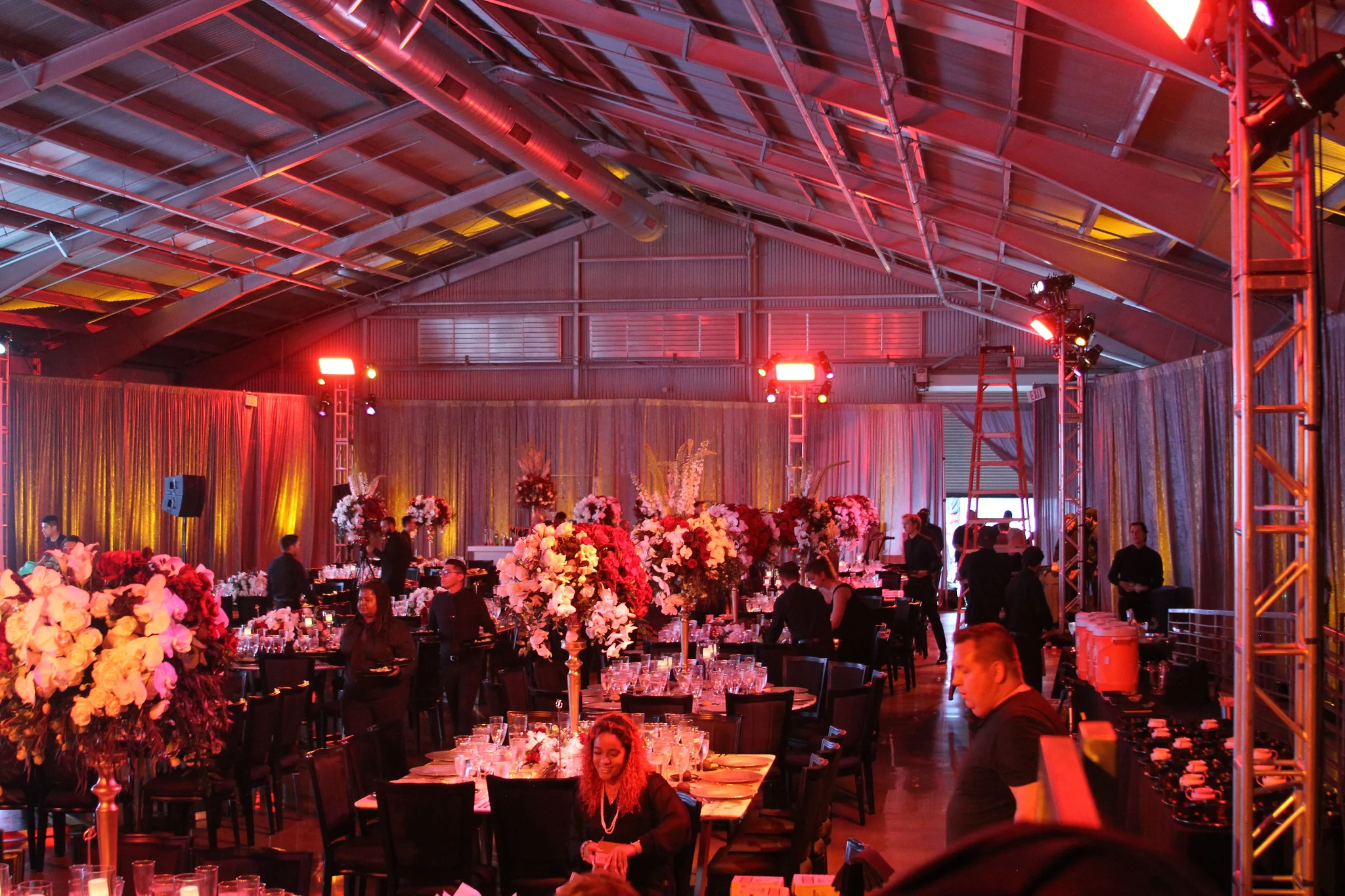 IMG_5818-X4.jpg