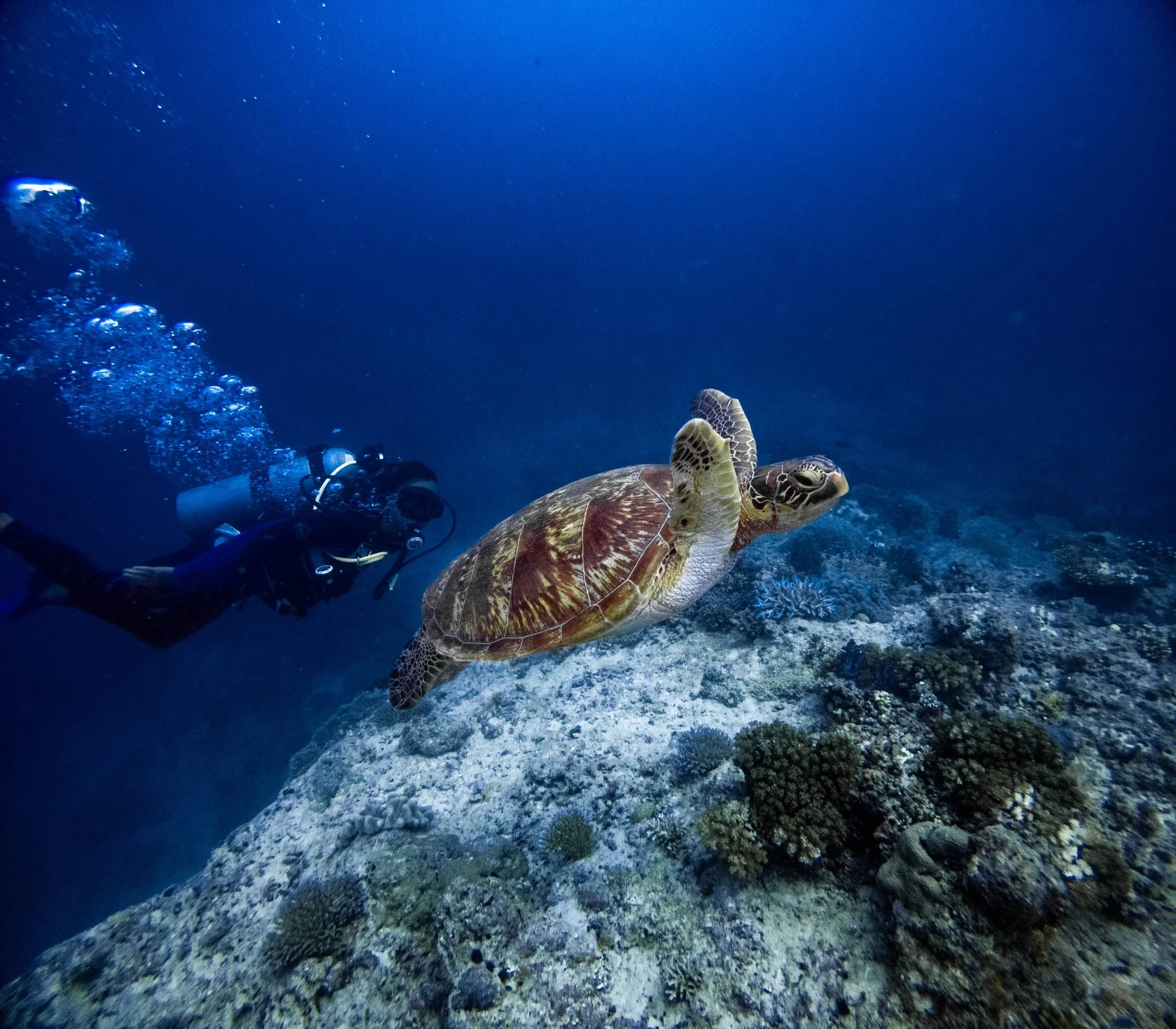 March 10, 2025 @kalani.muller GP010377.JPG