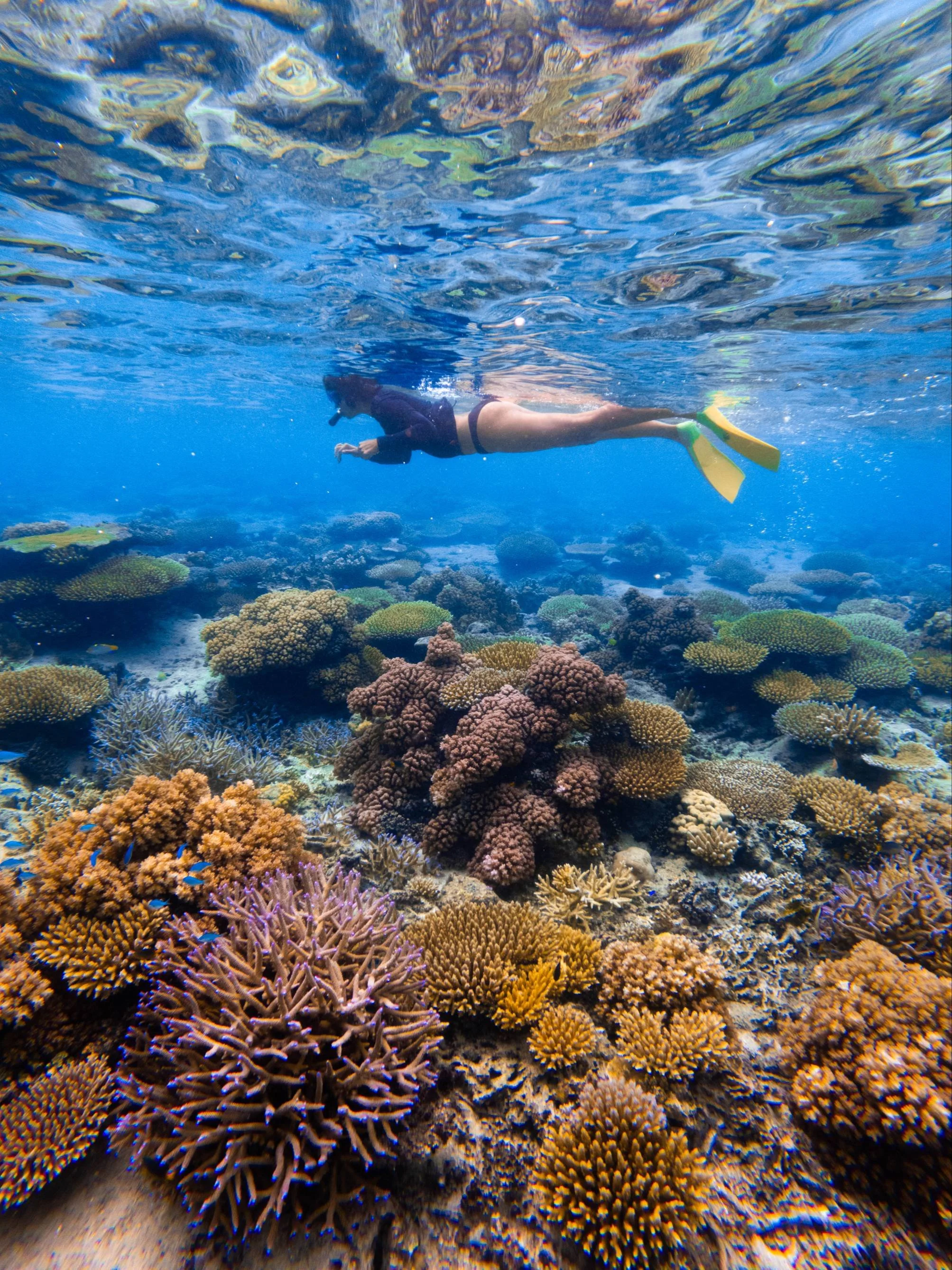 August 29, 2024 @kalani.muller GOPR2101 2.JPG