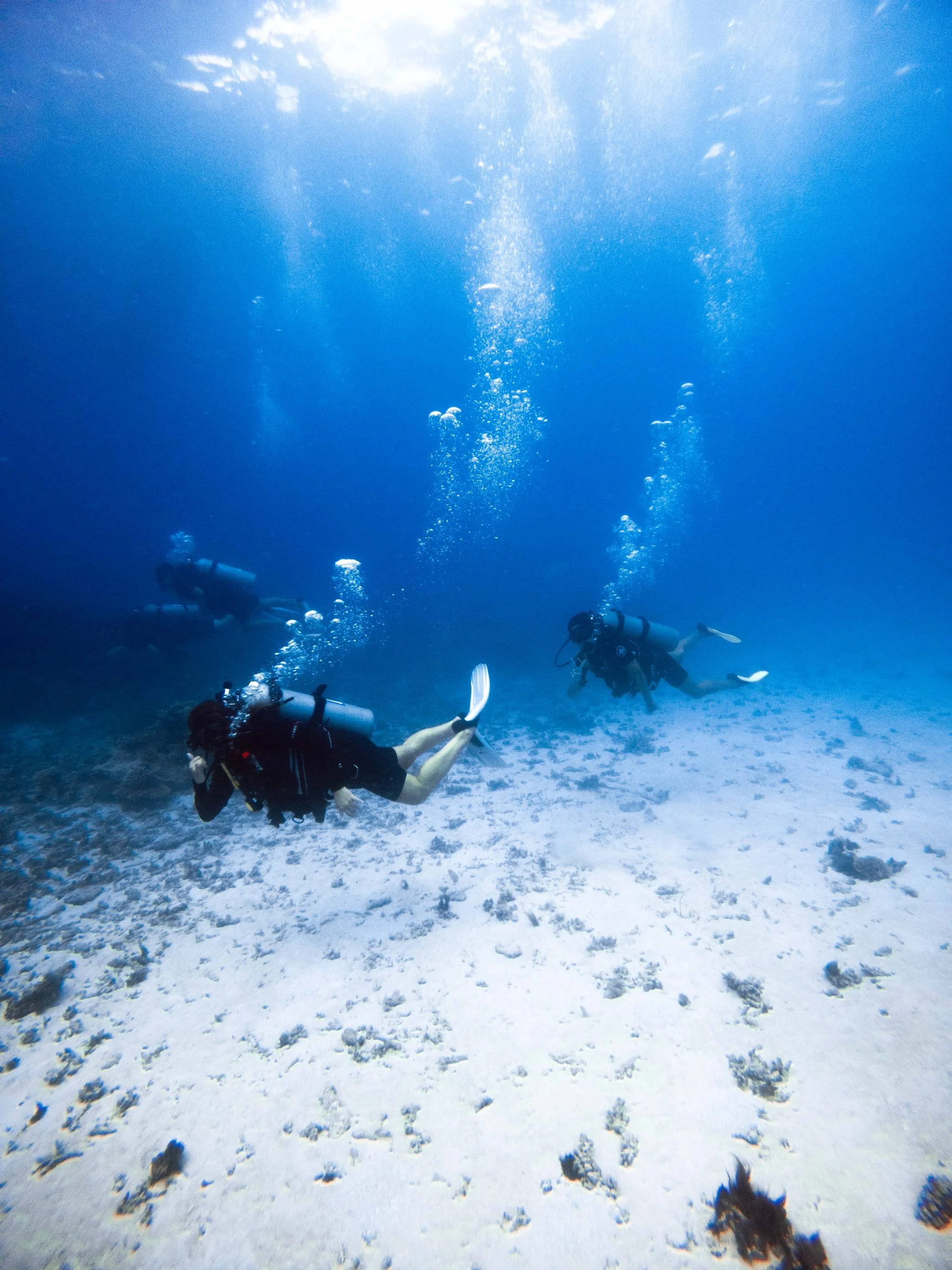 January 11, 2016 @kalani.muller GOPR1857_.JPG