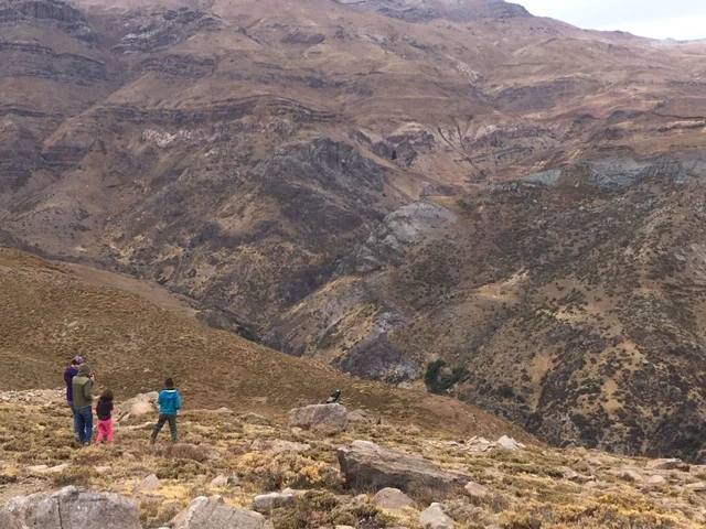 Farellones sin nieve