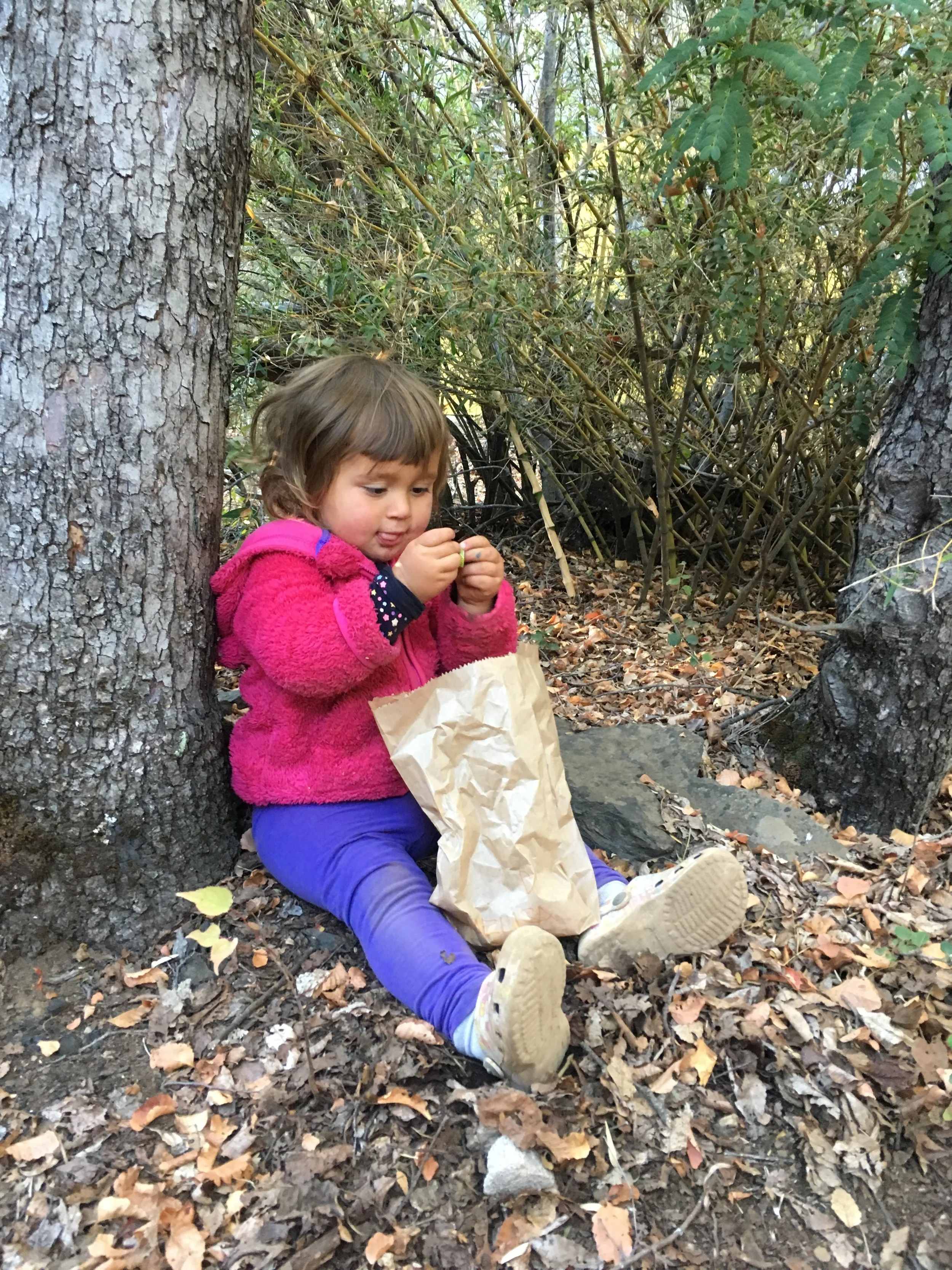 Trucos para organizar un paseo 