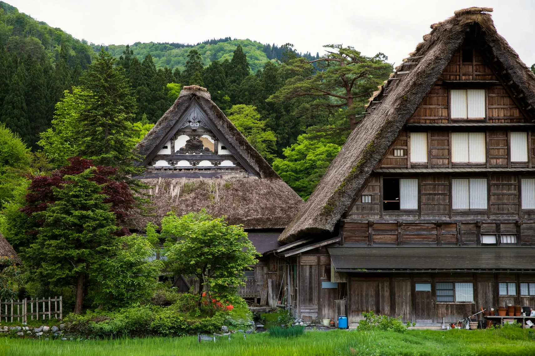 Japan-21.jpg