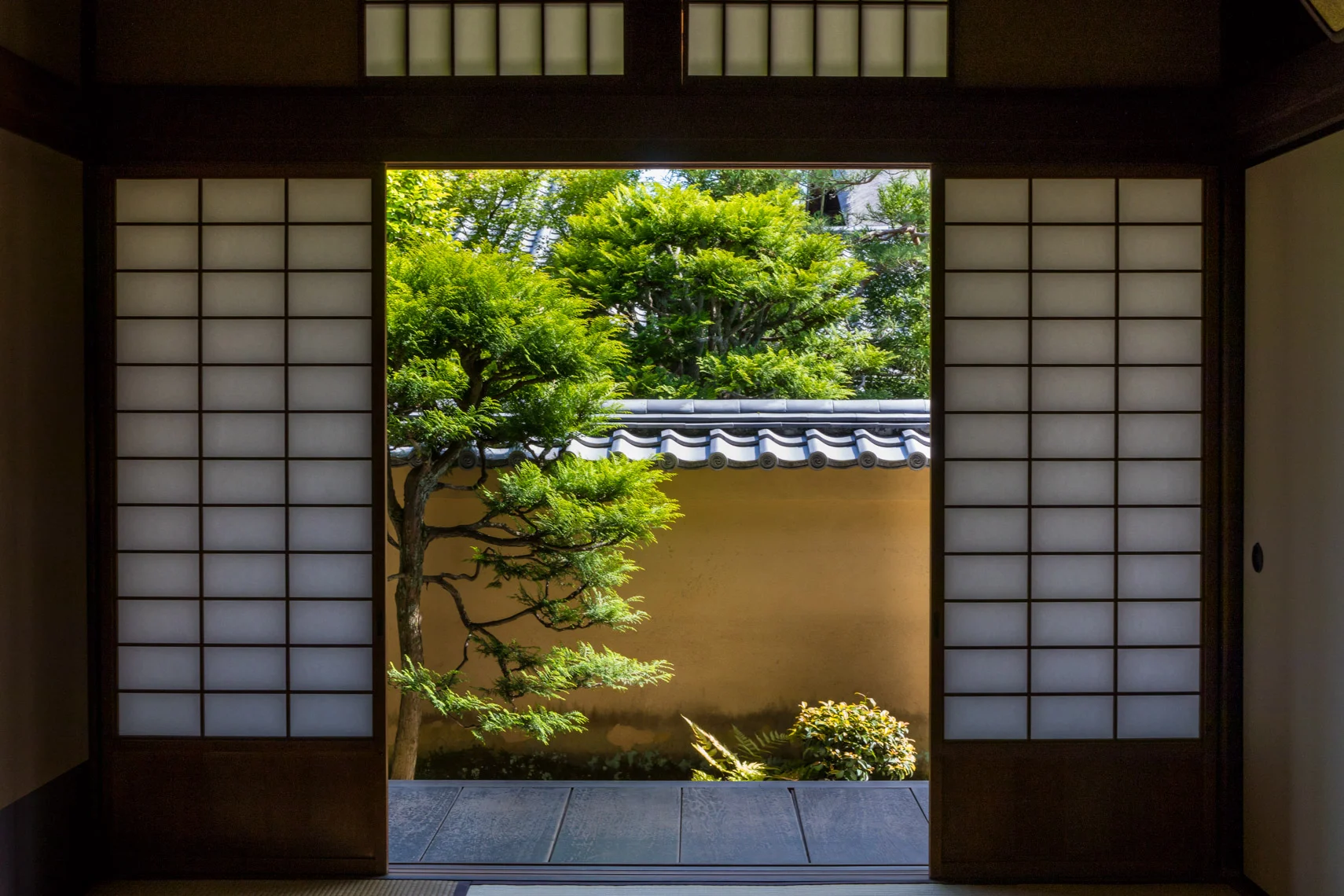 Japan-4.jpg