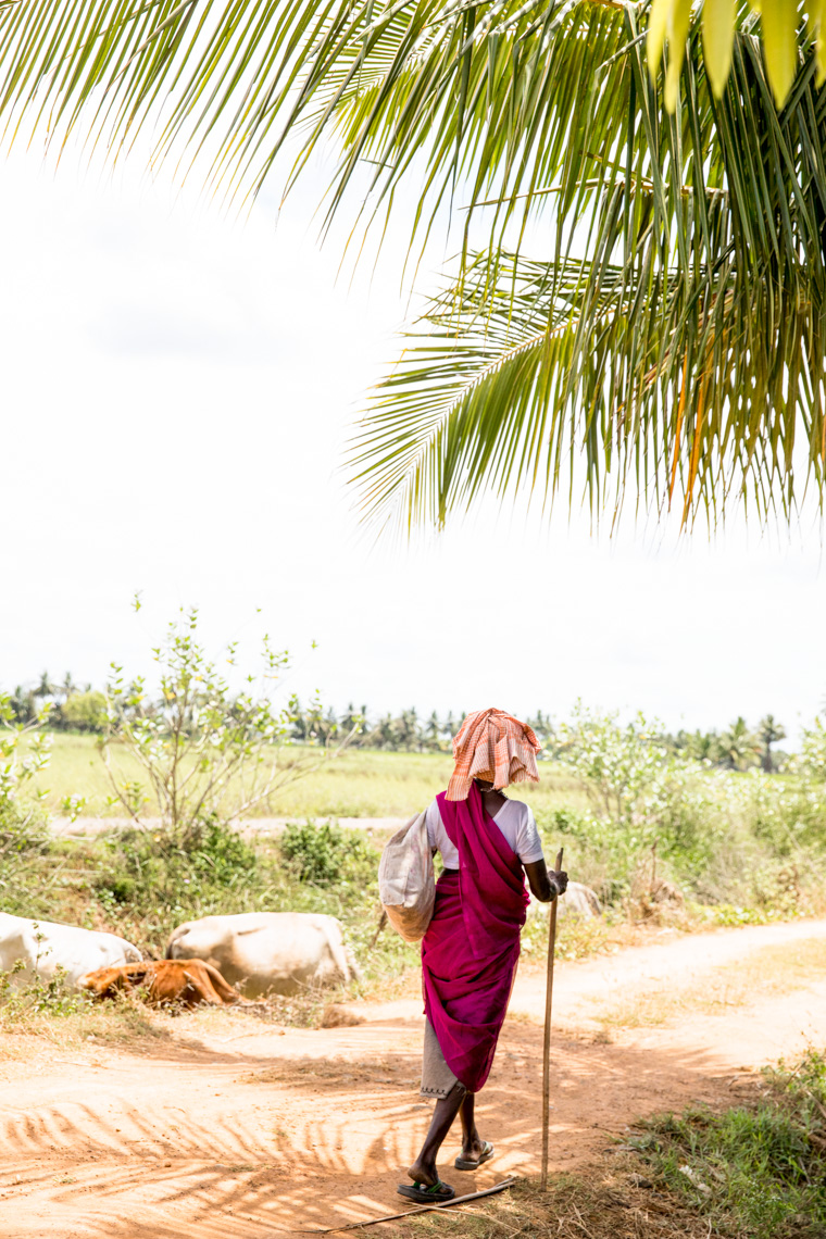 20180413-_T8A8686-Edit-2.jpg