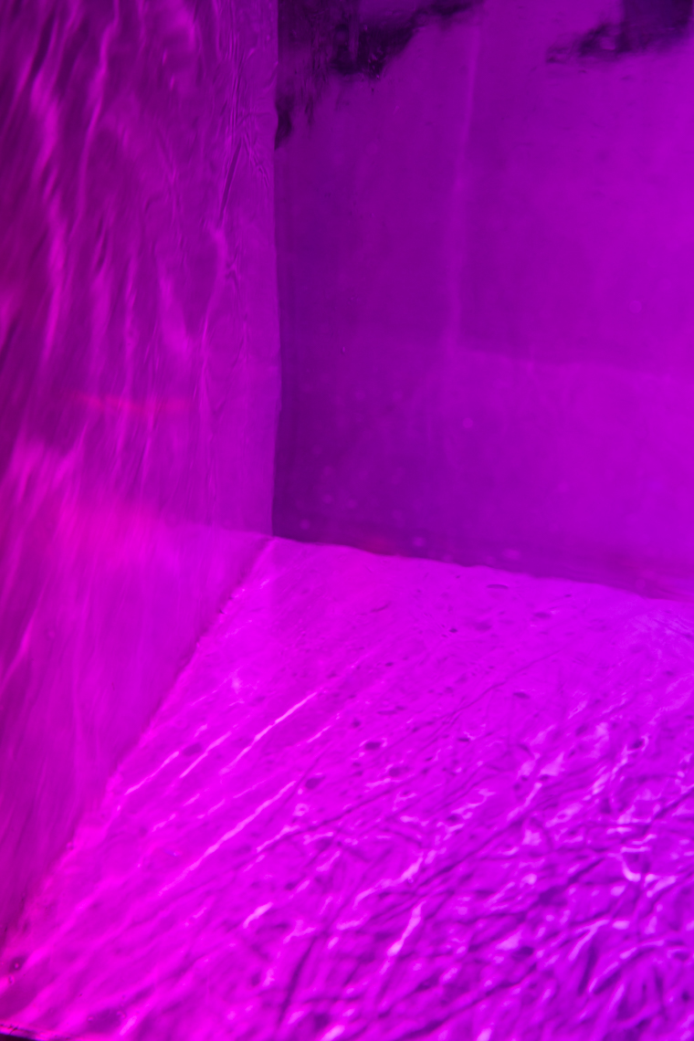 20181126-_T8A2014-Edit-2.jpg