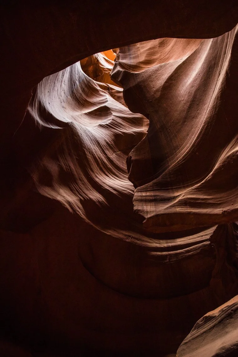 2t_20190302-_T8A5275-Edit.jpg
