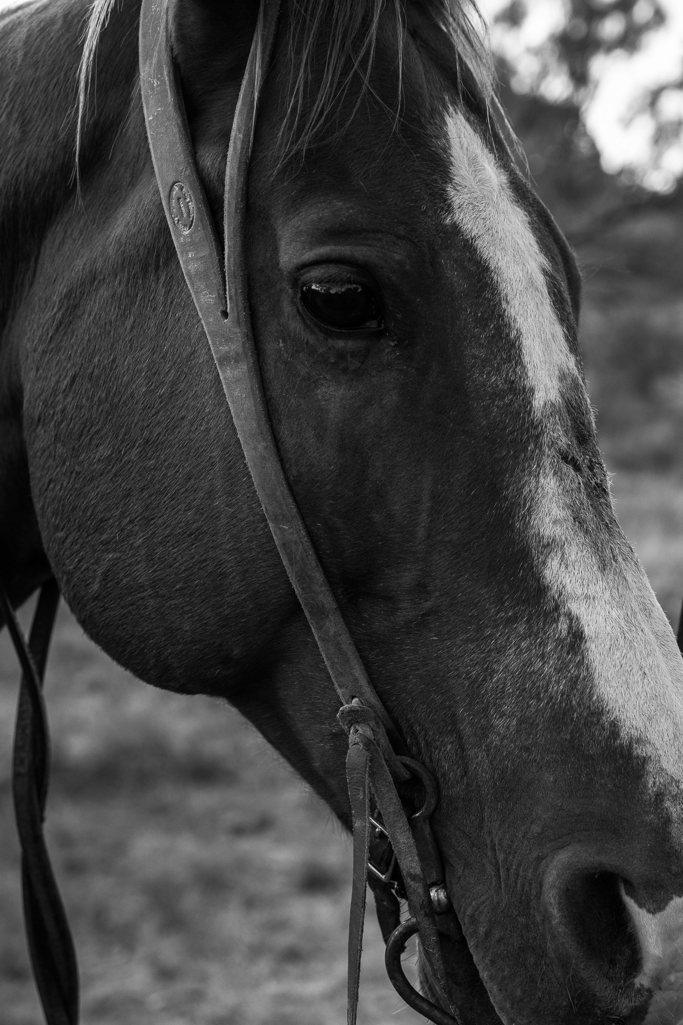 20201005-_T8A9191.jpg