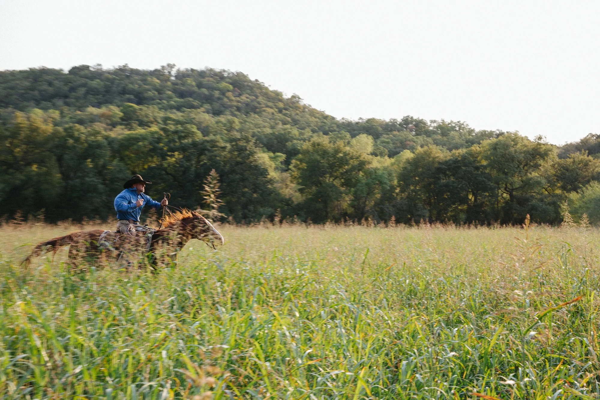 20201006-_T8A0811.jpg