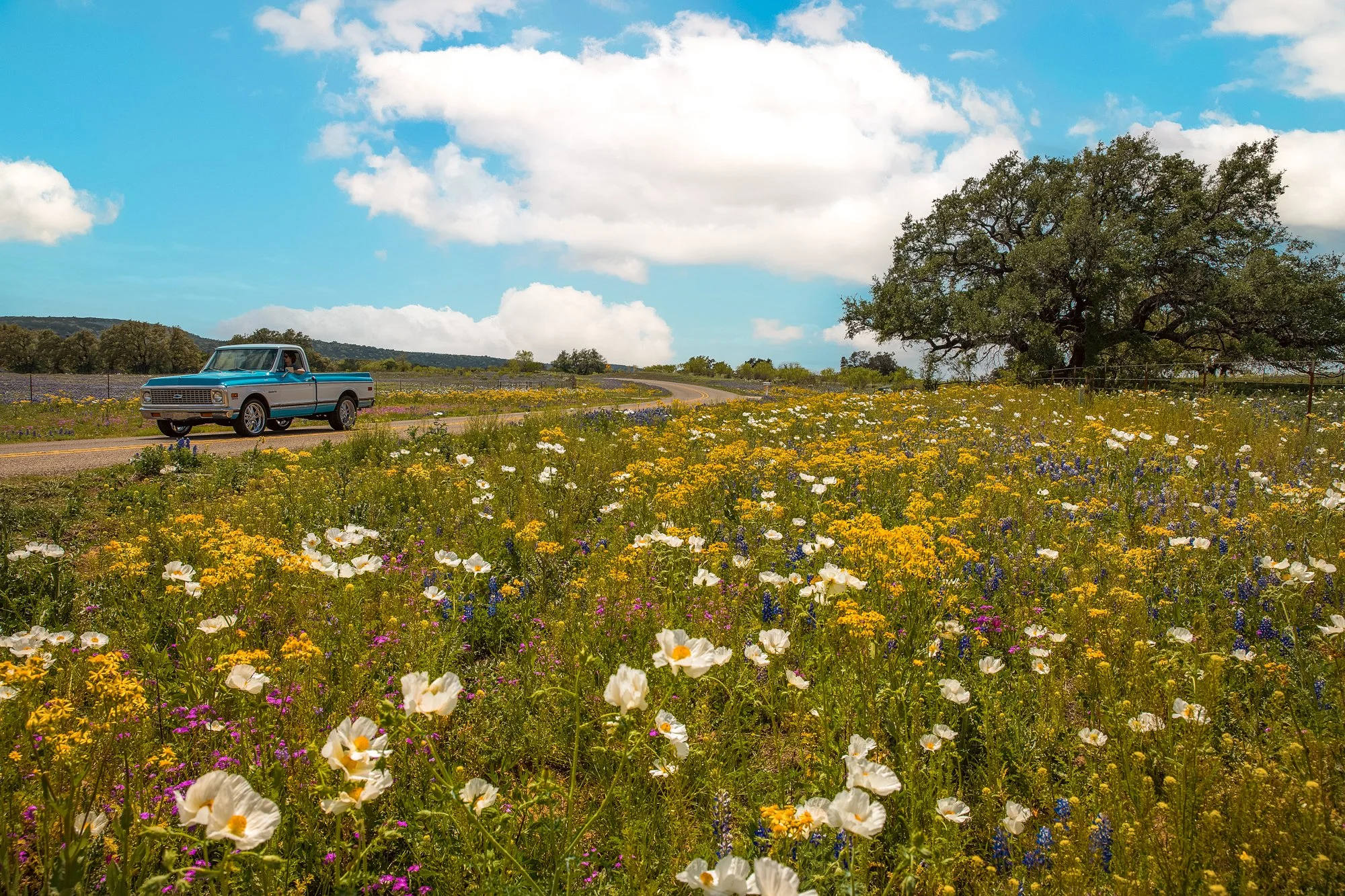 SLWildflowers--4.jpg
