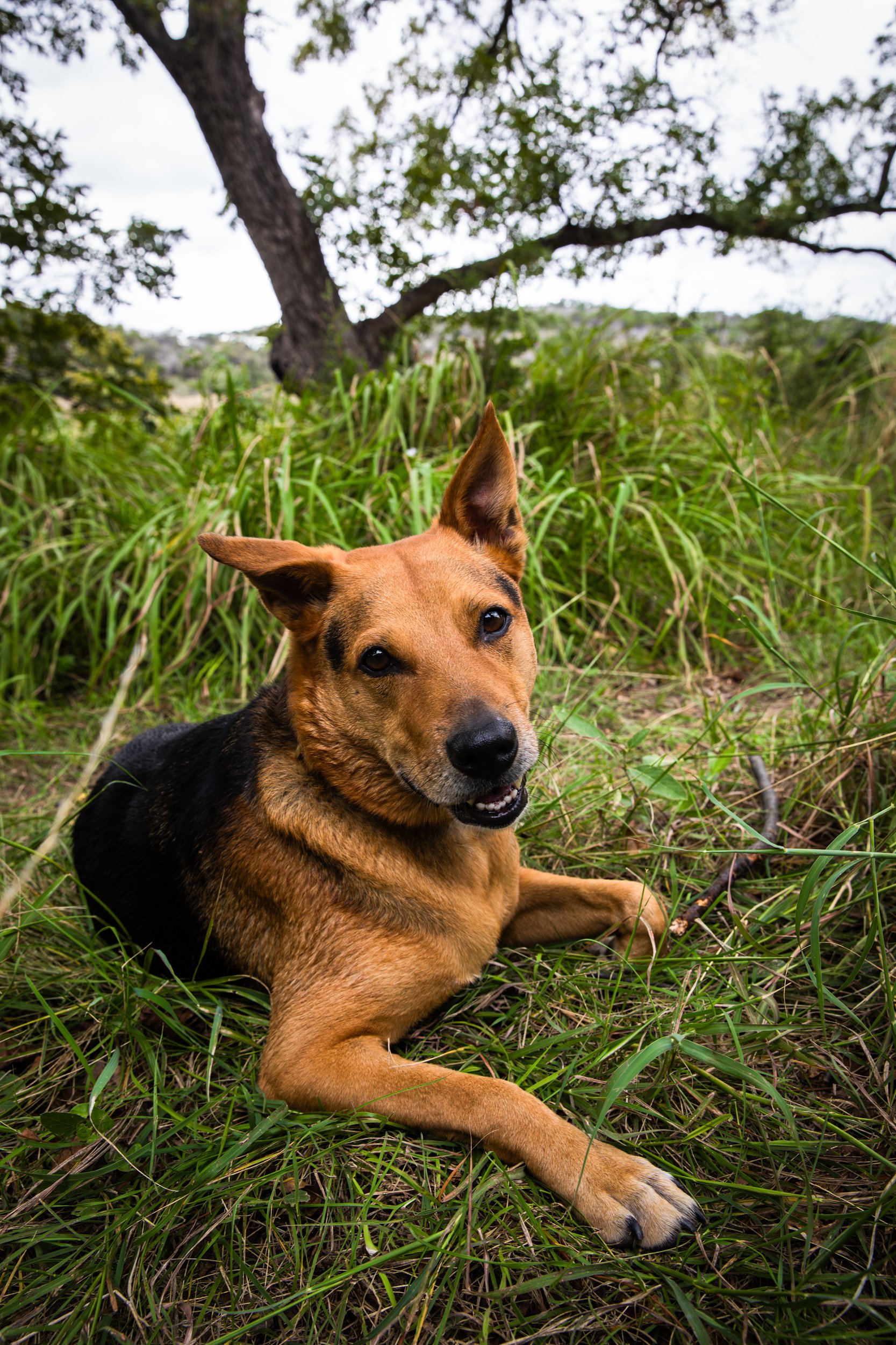 20231010-_T8A6547-Enhanced-NR-Edit-Edit.jpg