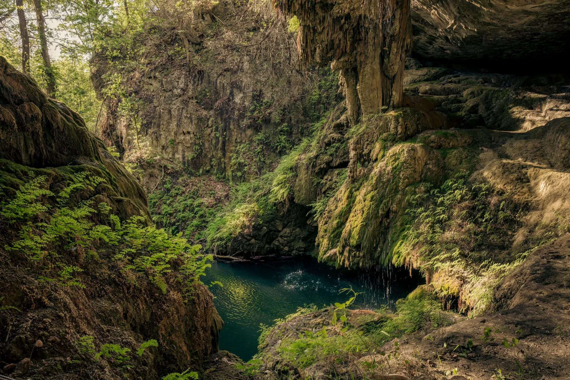 20250407-_70A7913-Edit-Edit.jpg
