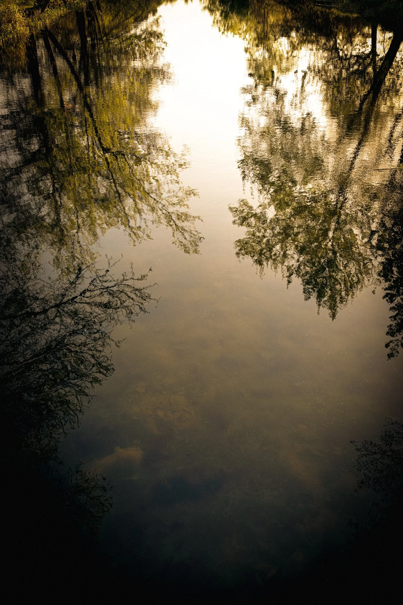 20250408-_70A9777-Edit-Edit.jpg