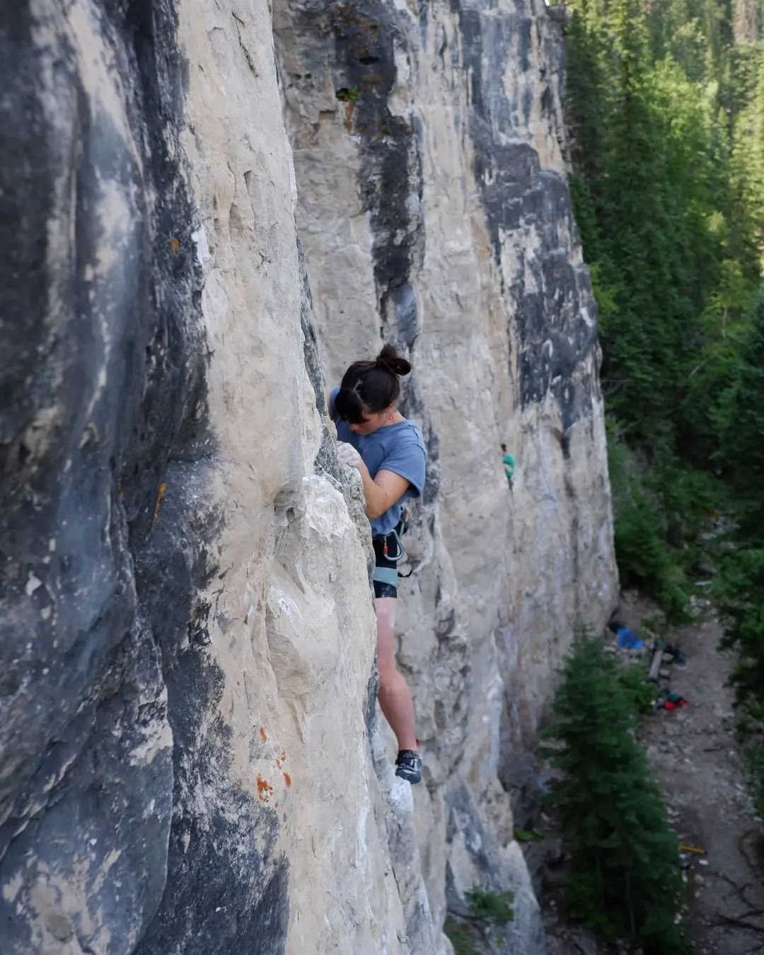 I've been enjoying taking a beat following my busiest couple of months as a live painter- so grateful! I have so much to share. Now for commission season!! 

Photo by Murray at @blackholeresole- if you are a climber check him out for your resoling ne