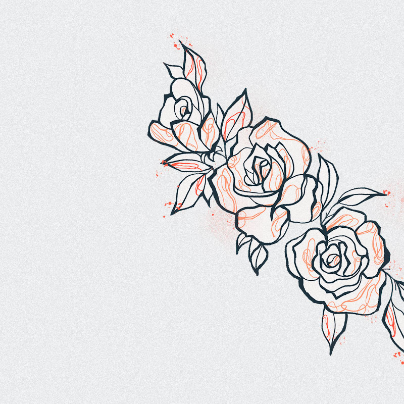 PeonyIllustration.jpg