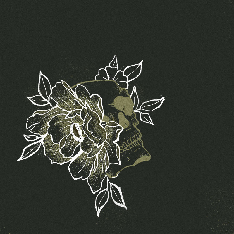 SkullIllustration.jpg