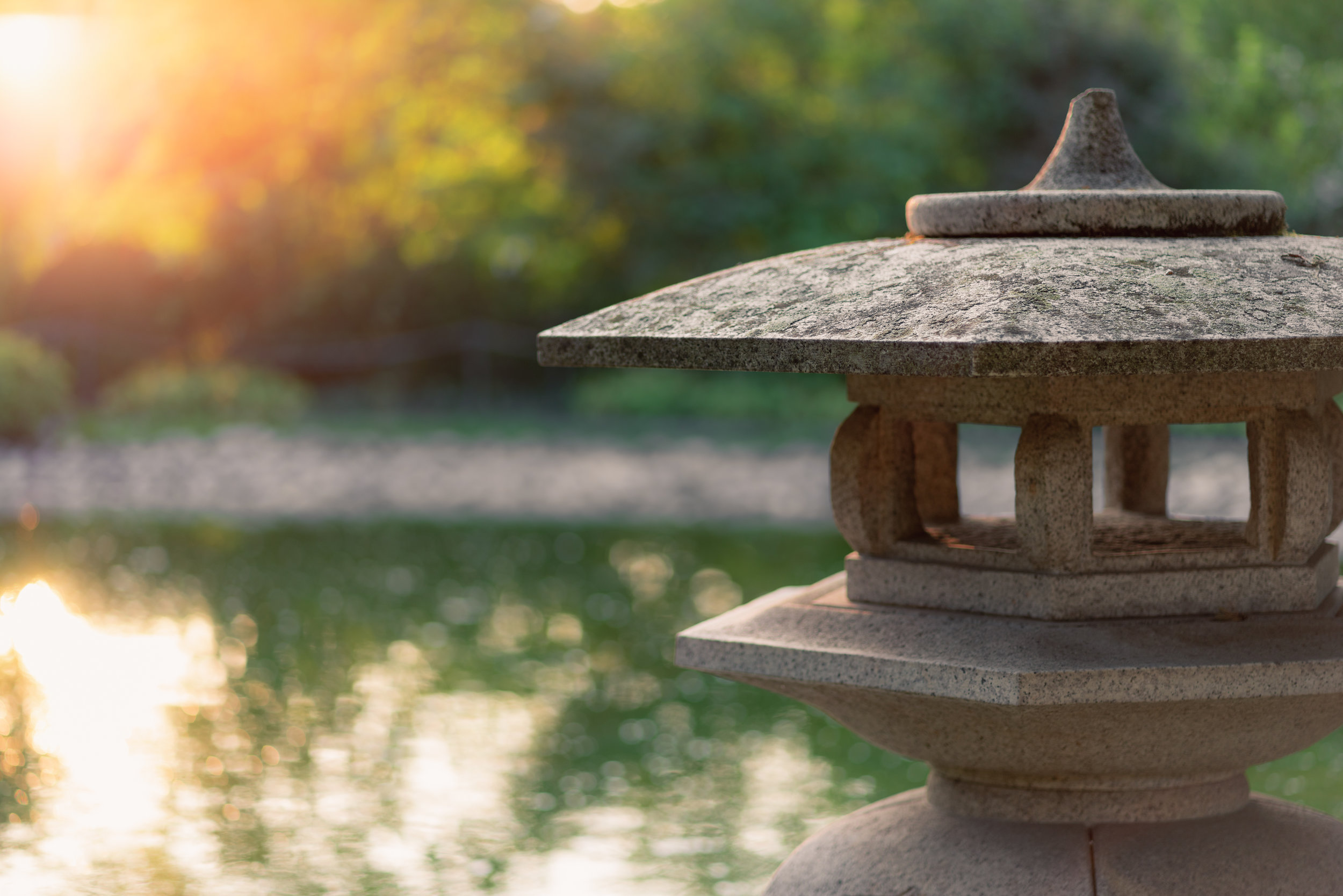 Yoga For Calm - Connection - Compassion