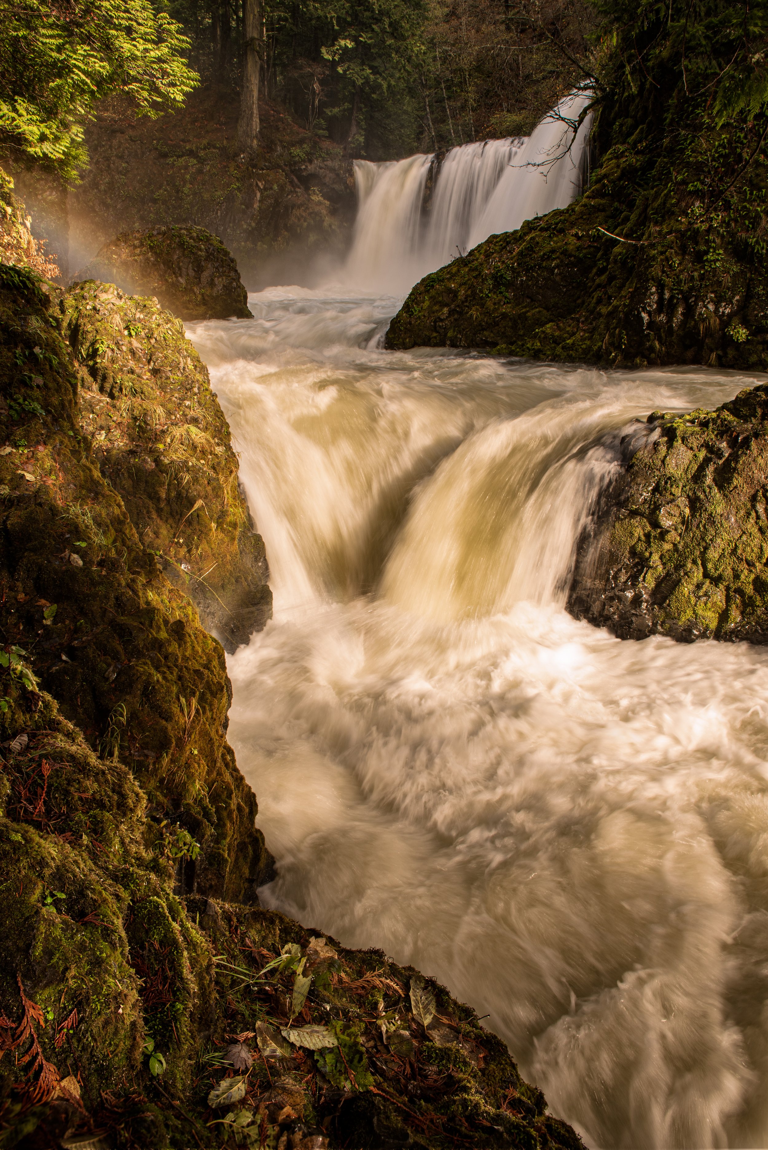 Late Autumn Flow (Copy)