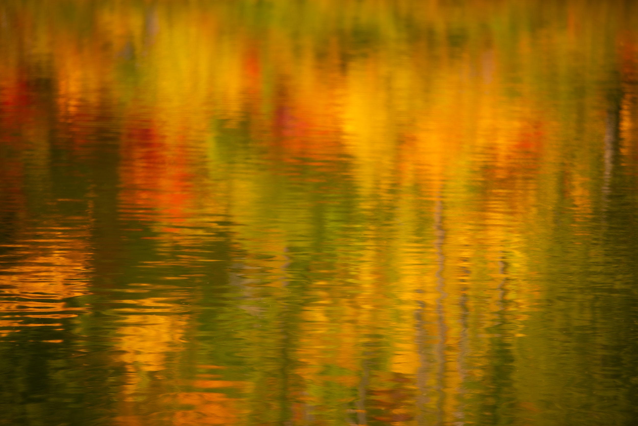 Vibrant Reflections (Copy)