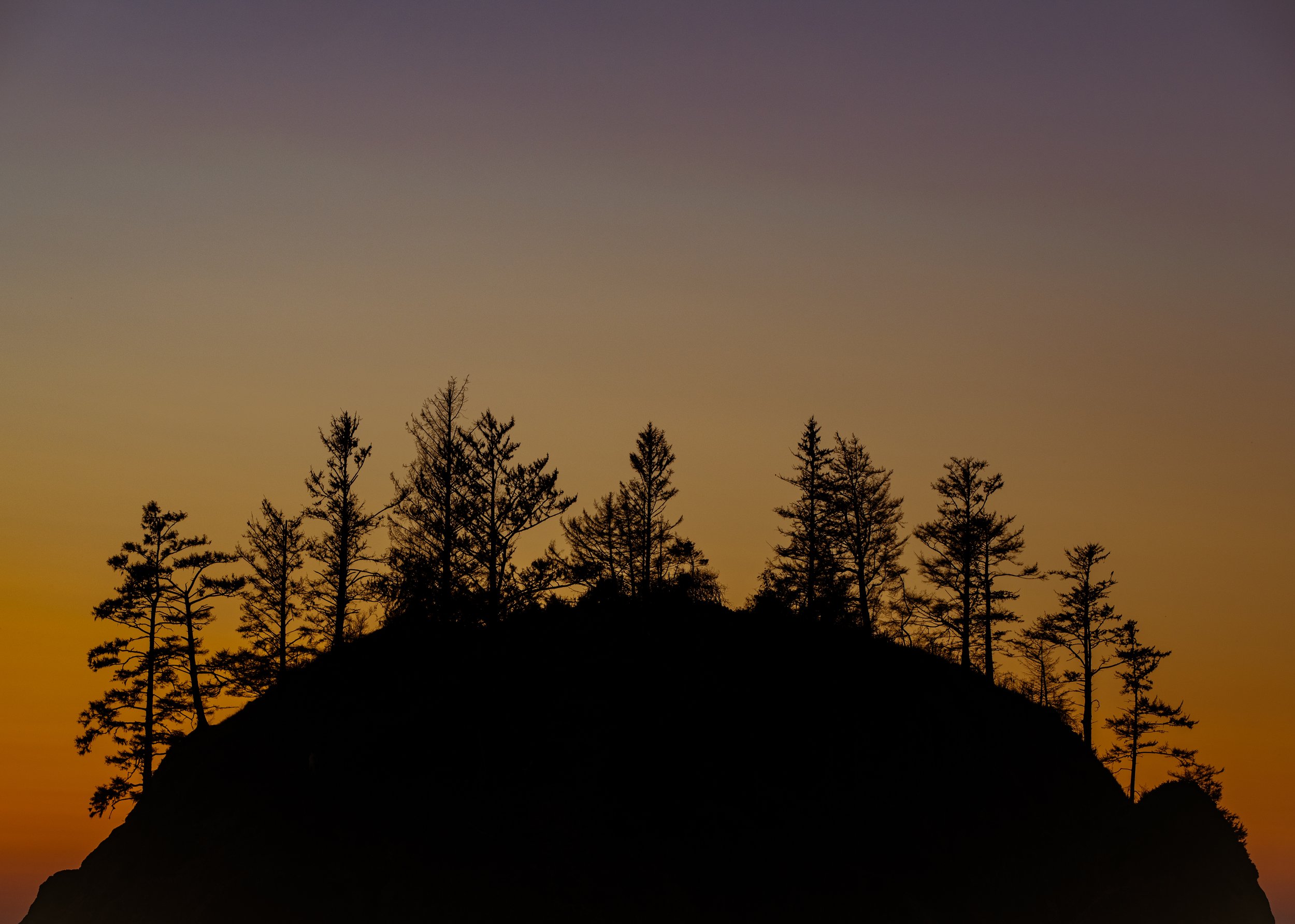 Silhouette (Copy)