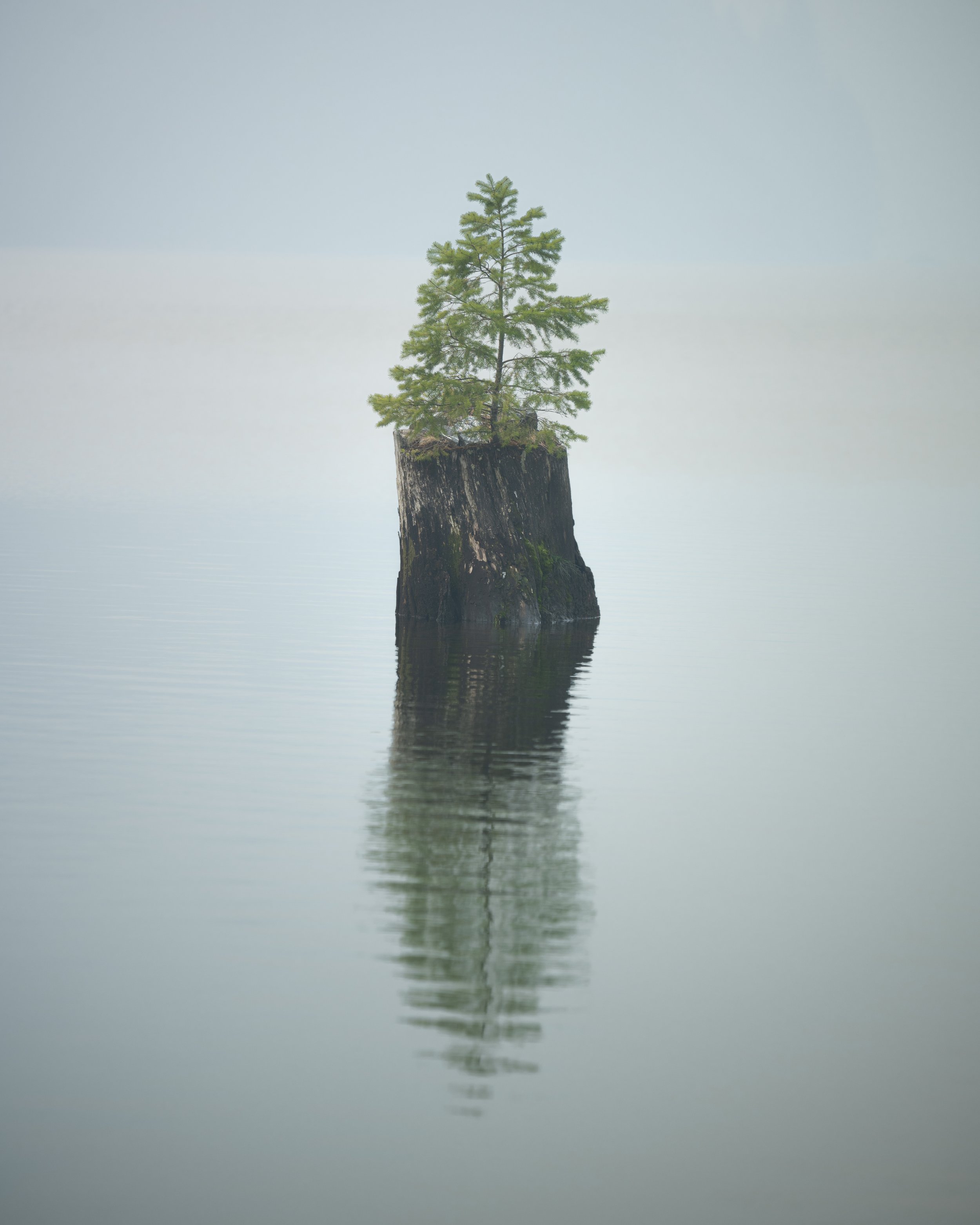 Stillness in the Mountains (Copy)