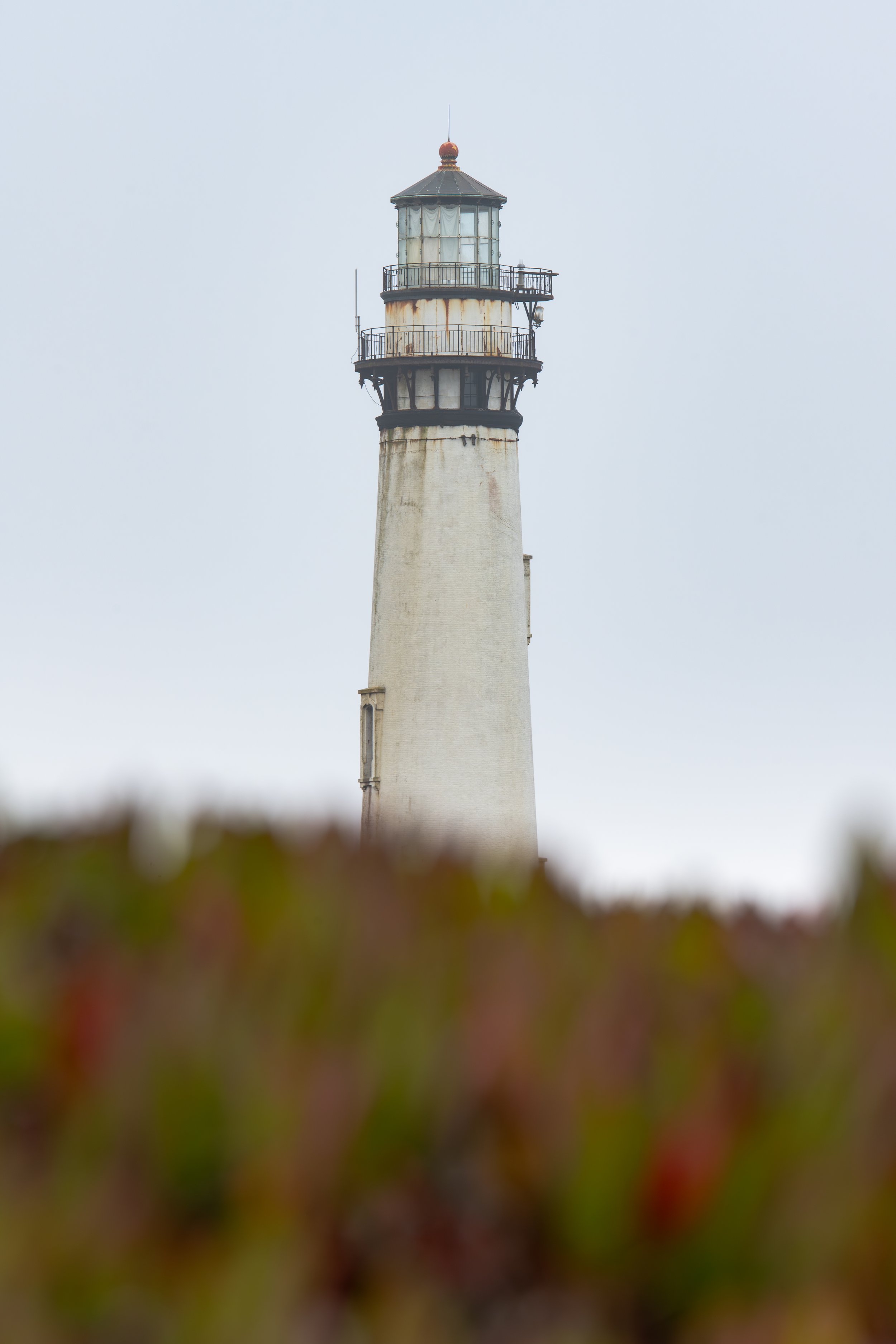 Through the Marine Layer (Copy)