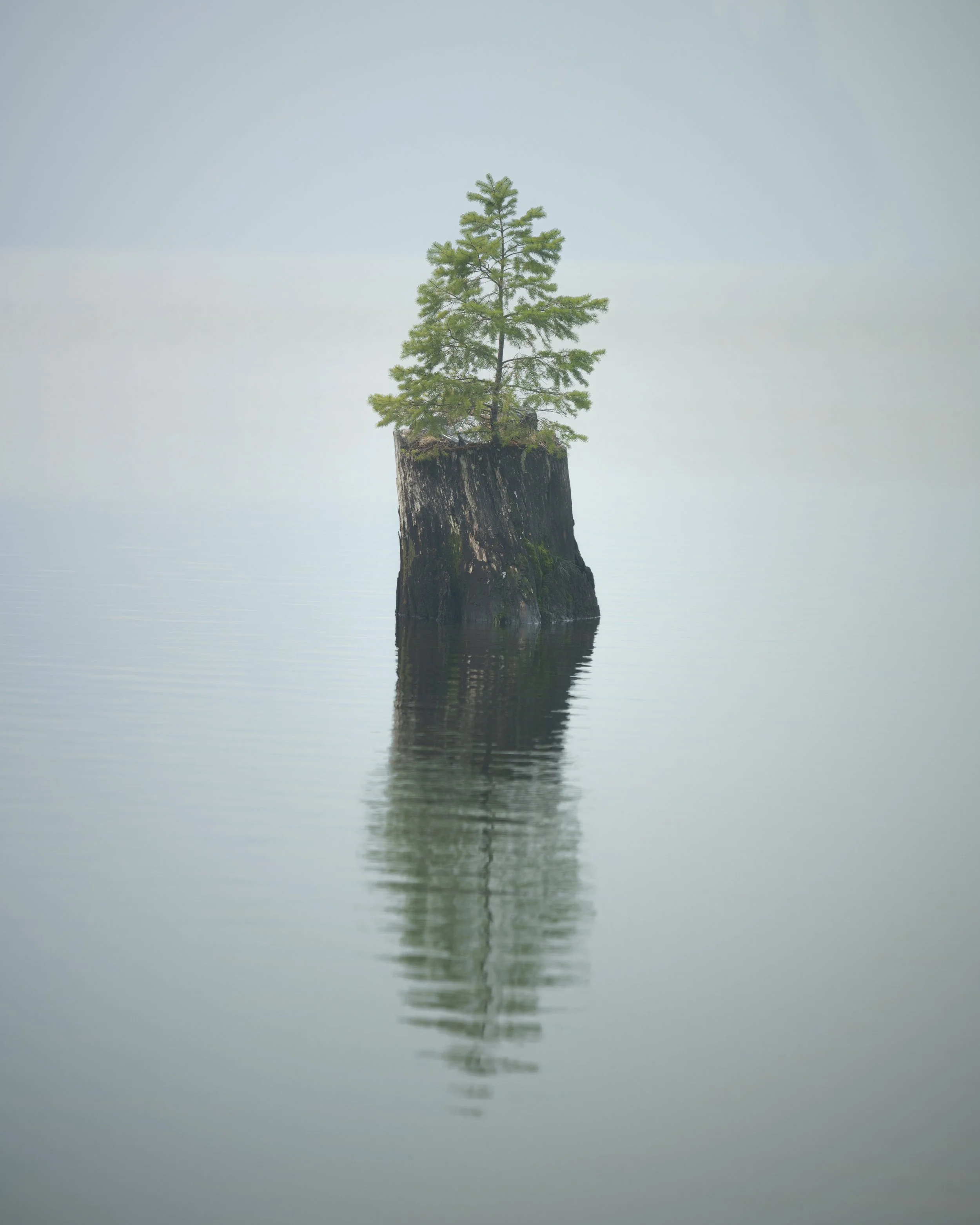 Mountain Stillness.jpg