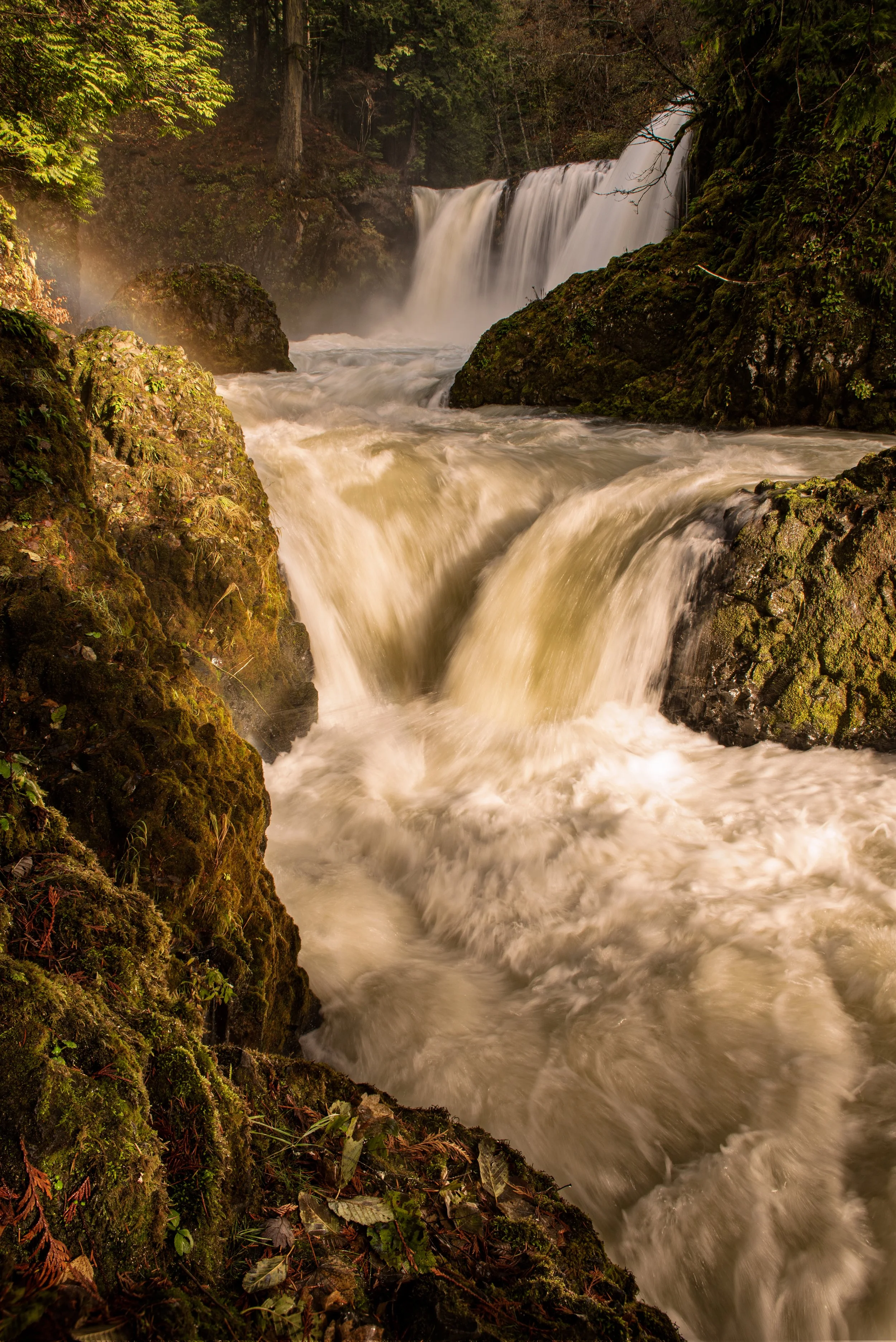 Late Autumn Flow.jpg