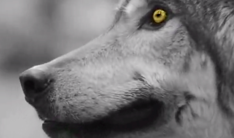 Screen Shot 2019-04-09 at 5.41.33 PM.png