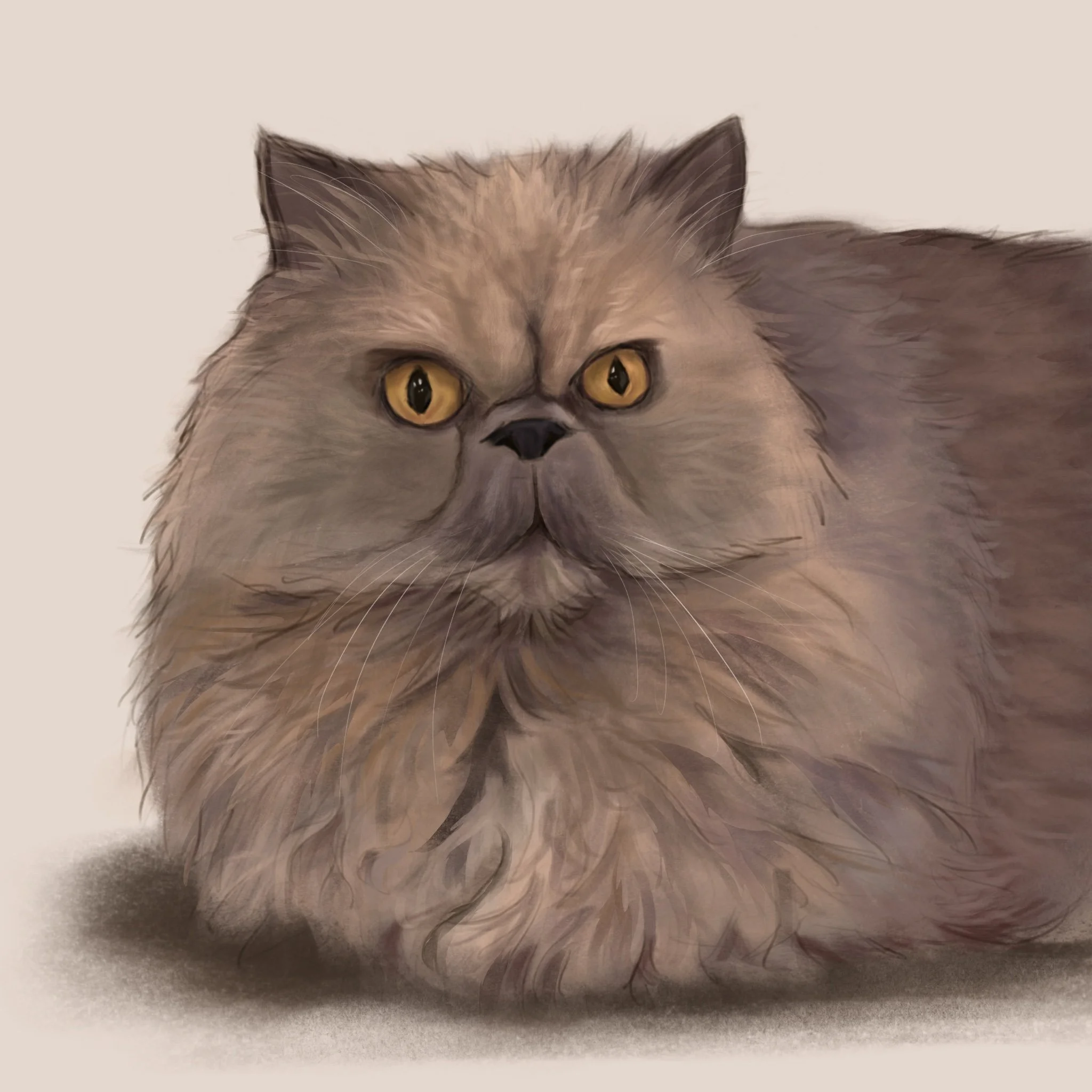 sophie.JPG