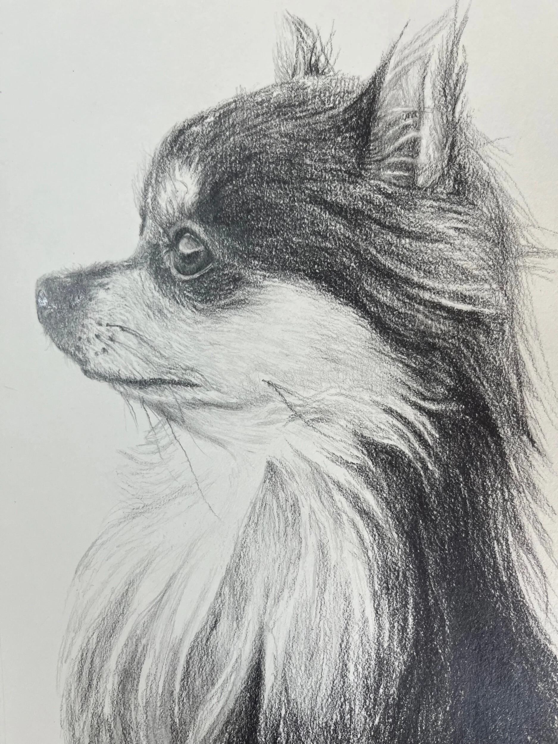 7307F0B6-DAB2-476C-A404-EC59AED7EE91