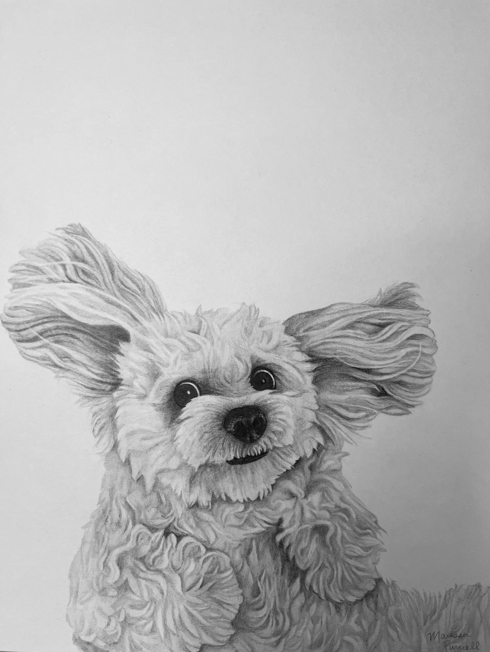 1B71D25B-DF45-448B-A198-EA29C4DF741C