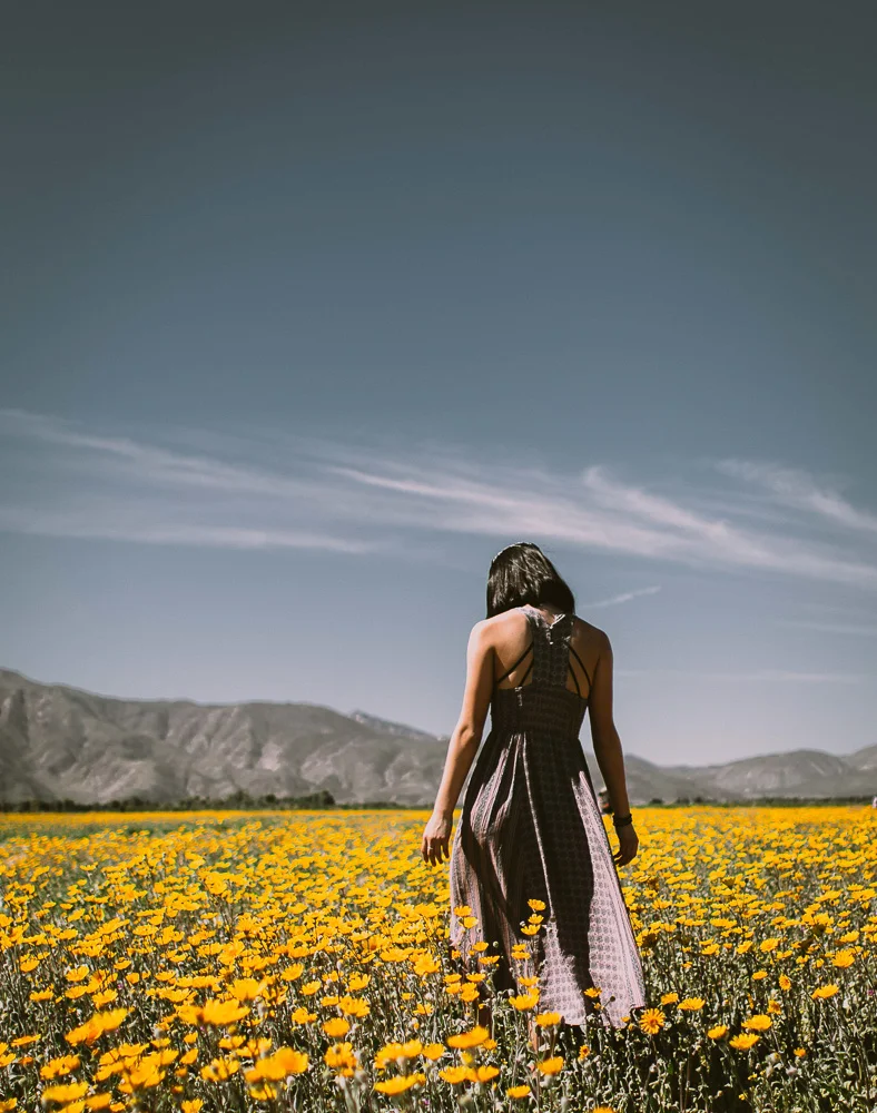 Ezer + Co. - Anza Hannah