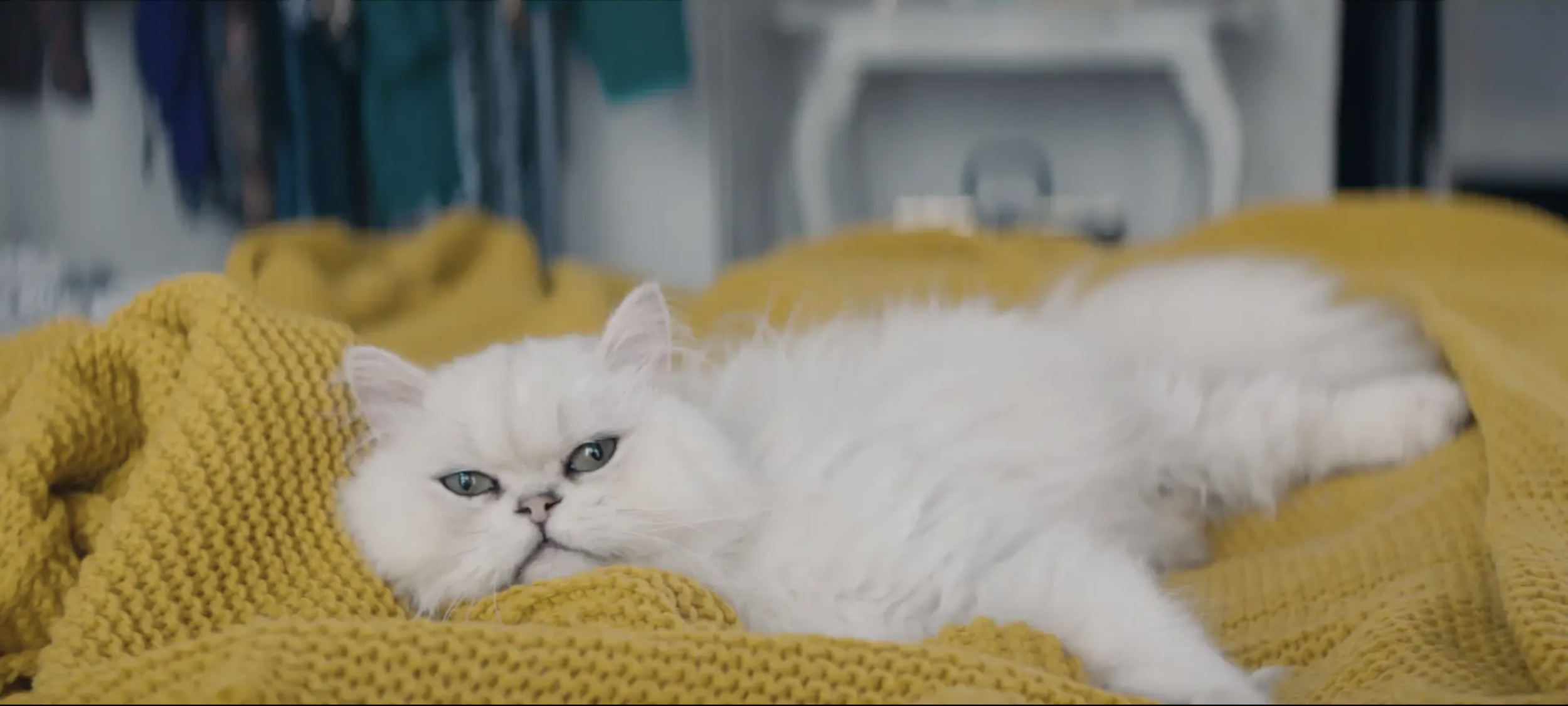 Screen Shot 2019-04-02 at 17.11.59.png