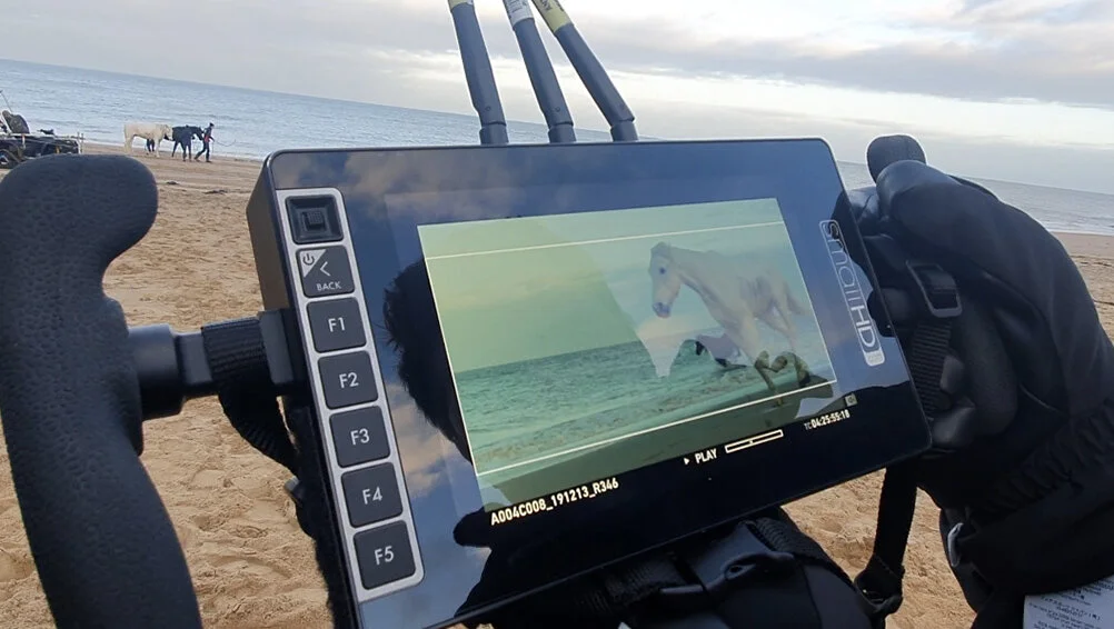 Screen Shot 2020-05-05 at 12.20.17.jpg