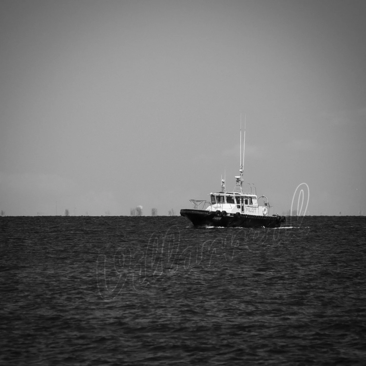 The Pilot _1150823- Preview.jpg