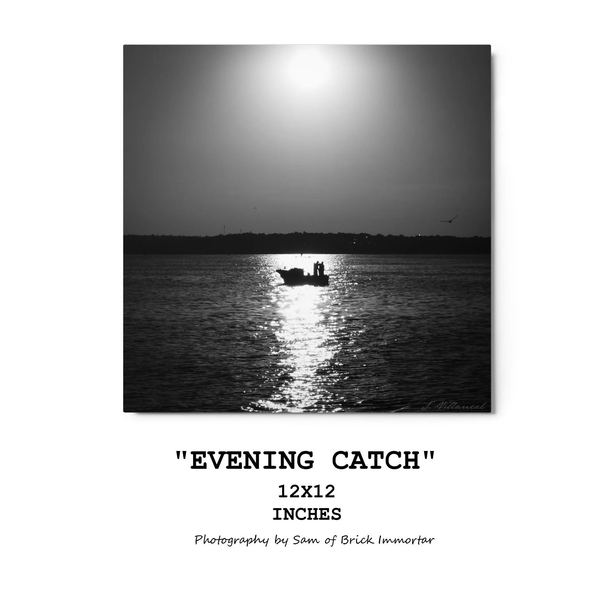 "Evening Catch" - Premium Metal Print