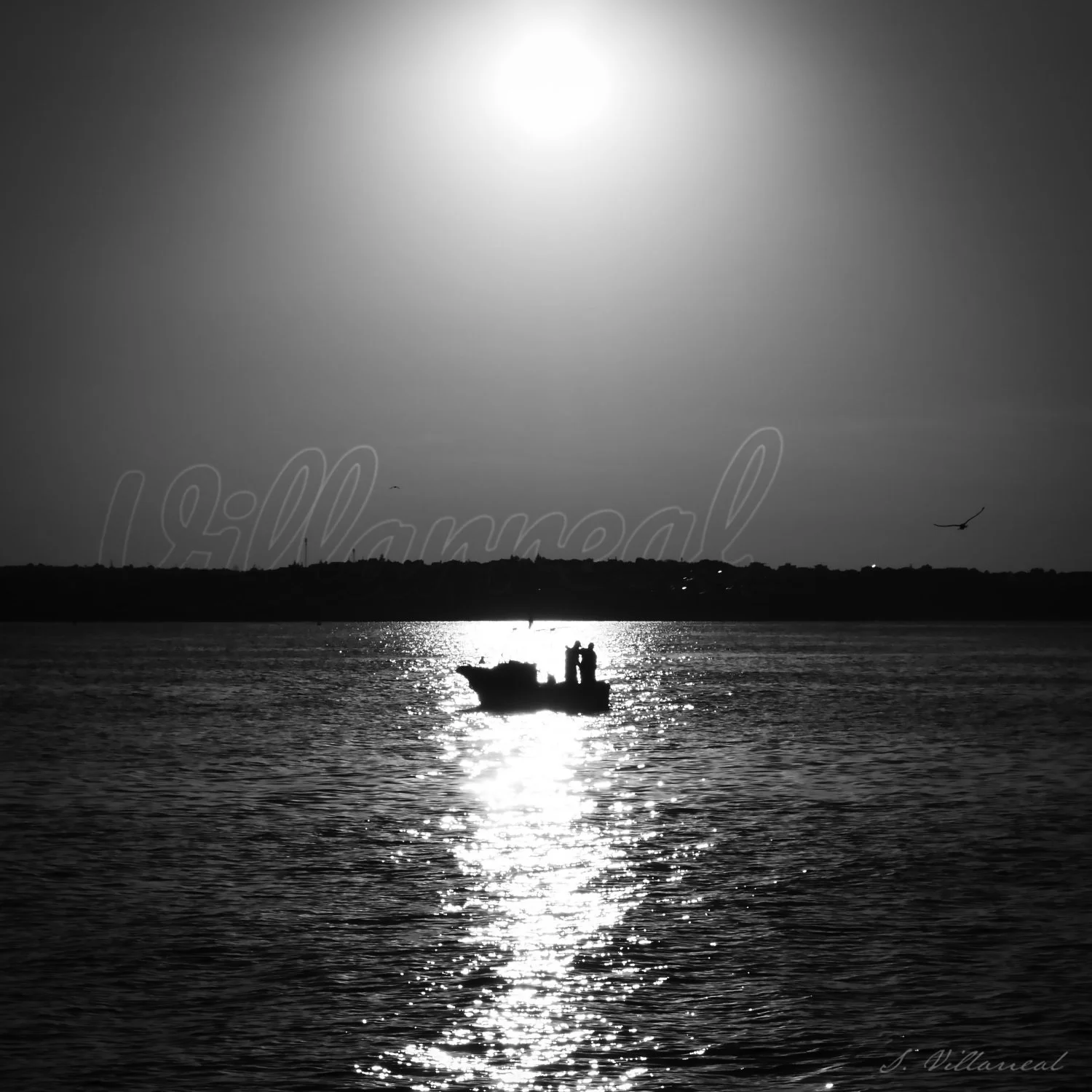 B&W - Black Sea Fishing - P1130252 - Preview.jpg