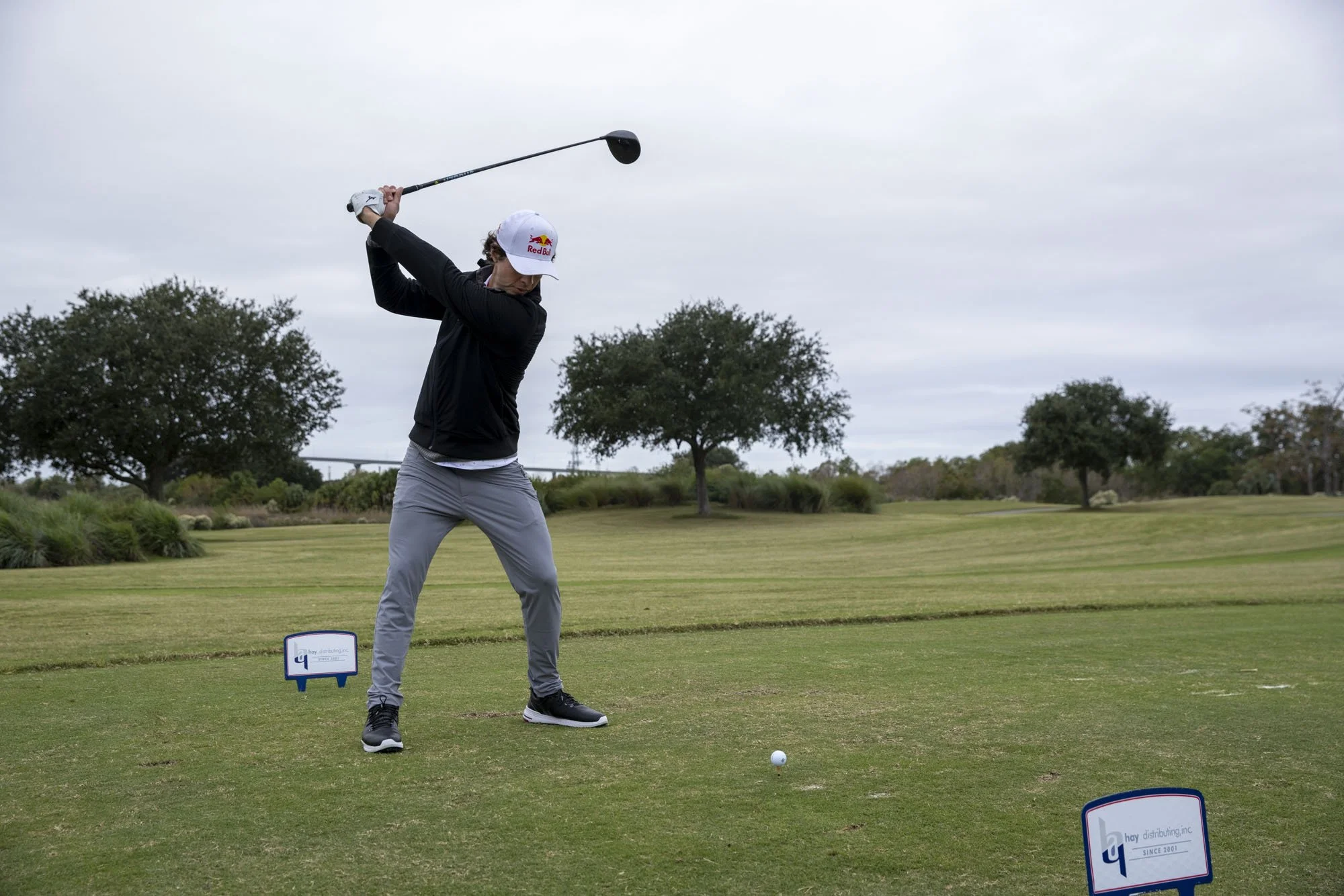 RS_221109_WingsForLifeGolfClassic_0259.jpg