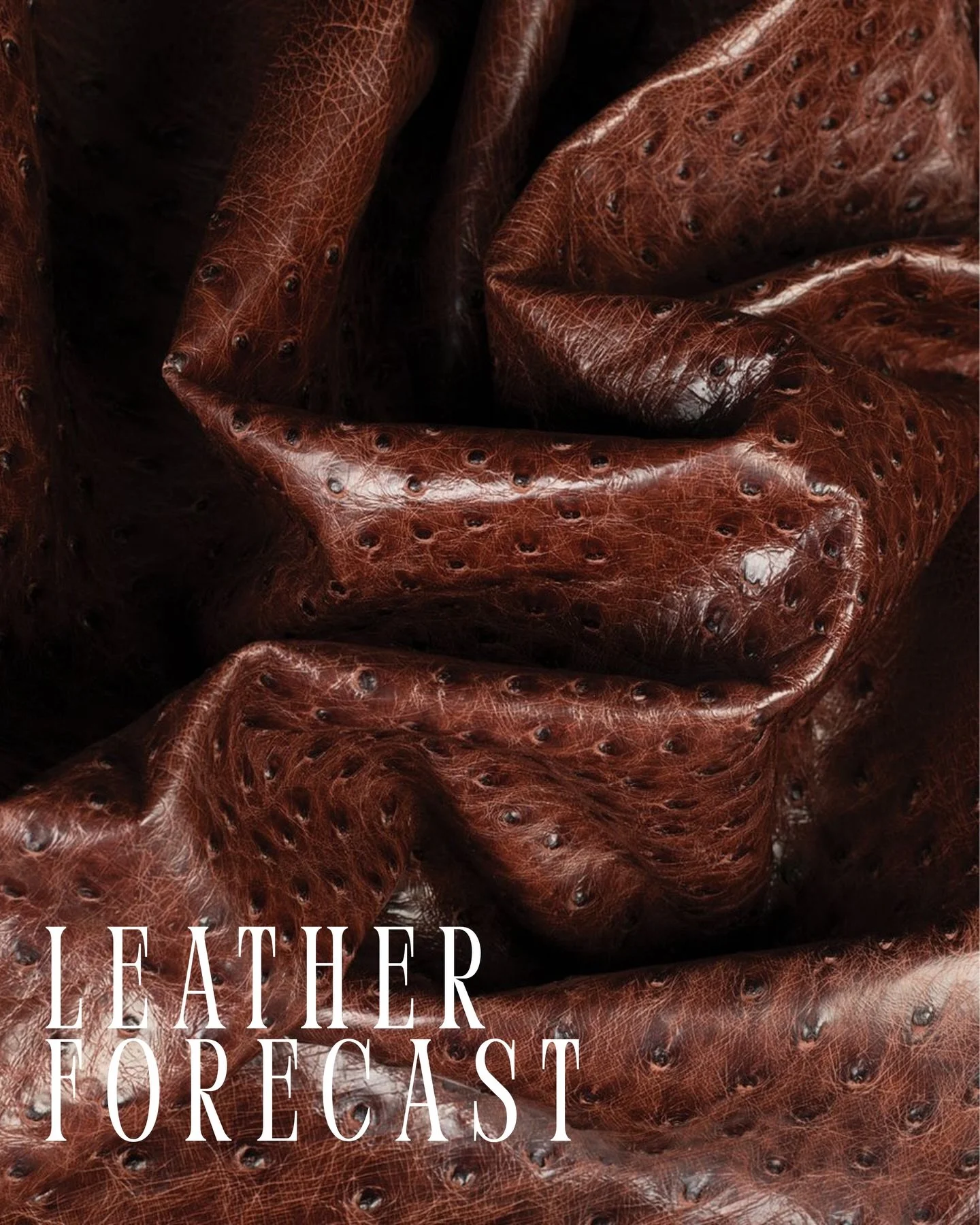 THE LEATHER FORECAST&mdash; I know we&rsquo;re swamped with oversized croc this season, but starting to see ostrich leather poke its head out of the sand and become more mainstream. Think this dotted skin has legs? Like, real long legs?