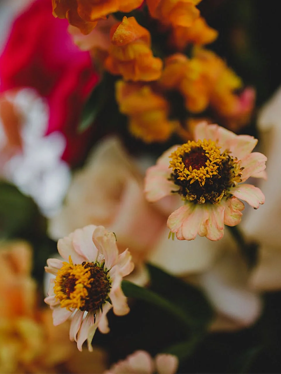 PRIYA-+-JOE--Wedding-Floral_0003s_0000_PRIYA-+-JOE-1.jpg