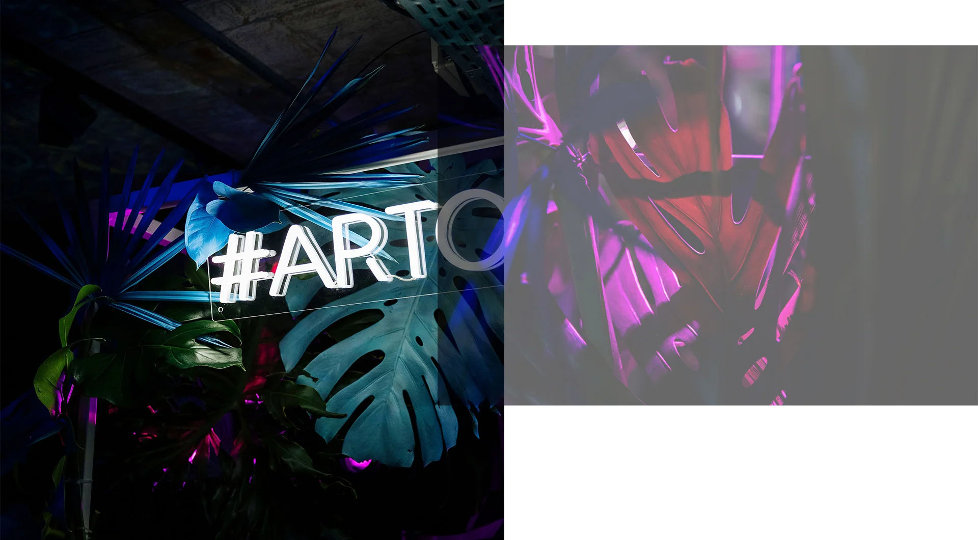 EDEN BY PERRIER-JOUËT EVENT-header.jpg