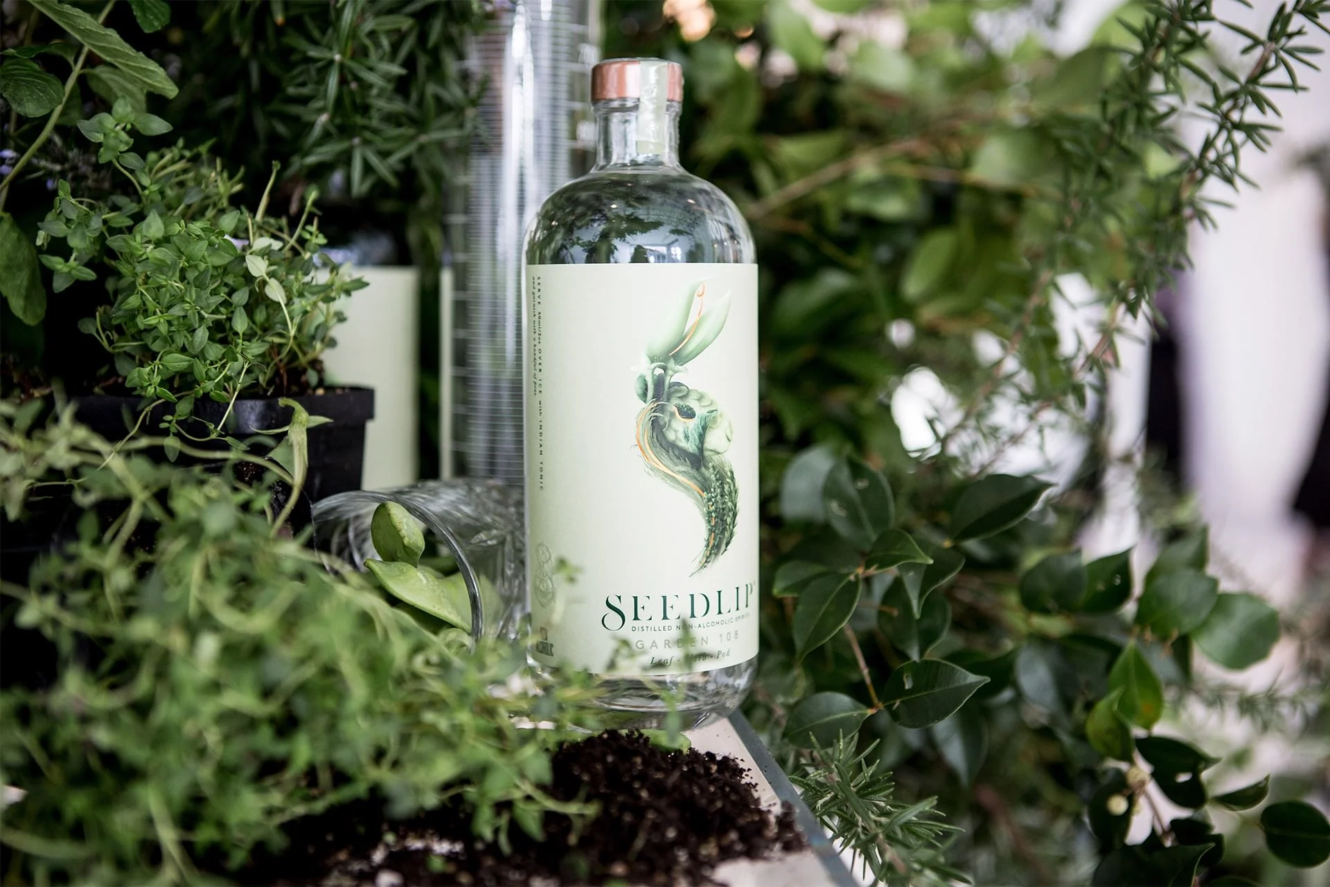 SEEDLIP EVENT 8.jpg