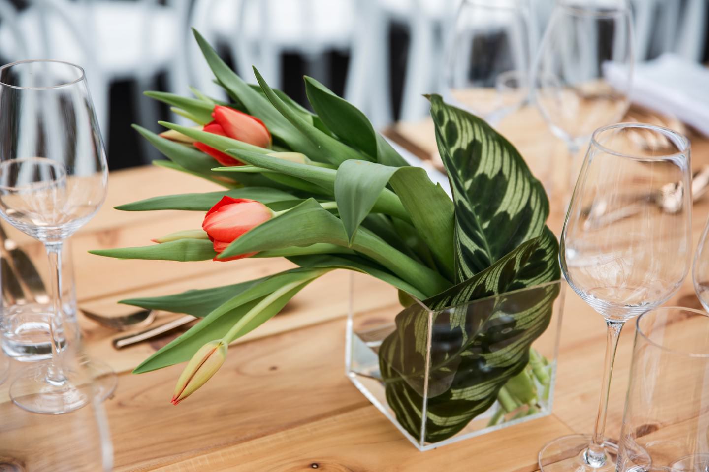 Hallensteins+Event+2.jpg