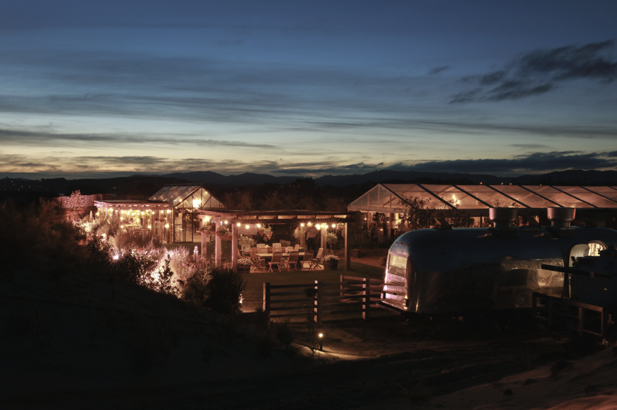 ©MichelleWeir-Blush-TaraIti-Wedding-094.png