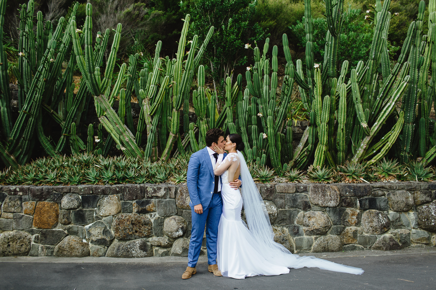 Blush - Dan & Abby's Wedding-48.png