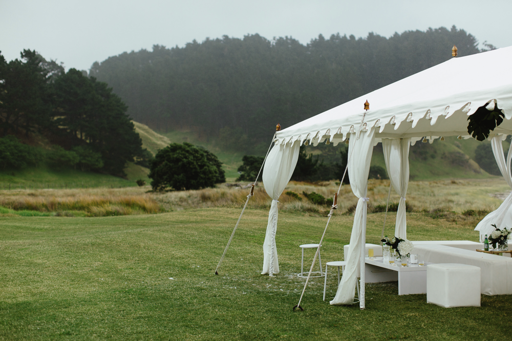 Blush - Dan & Abby's Wedding-45.png